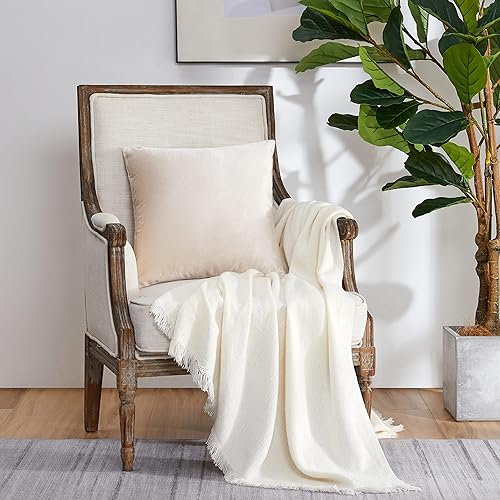 Vista 284 de GIGIZAZA - Juego de 2 fundas de almohada decorativas de 18 x 18 pulgadas, fundas de almohada cuadradas de terciopelo verde azulado pavo real