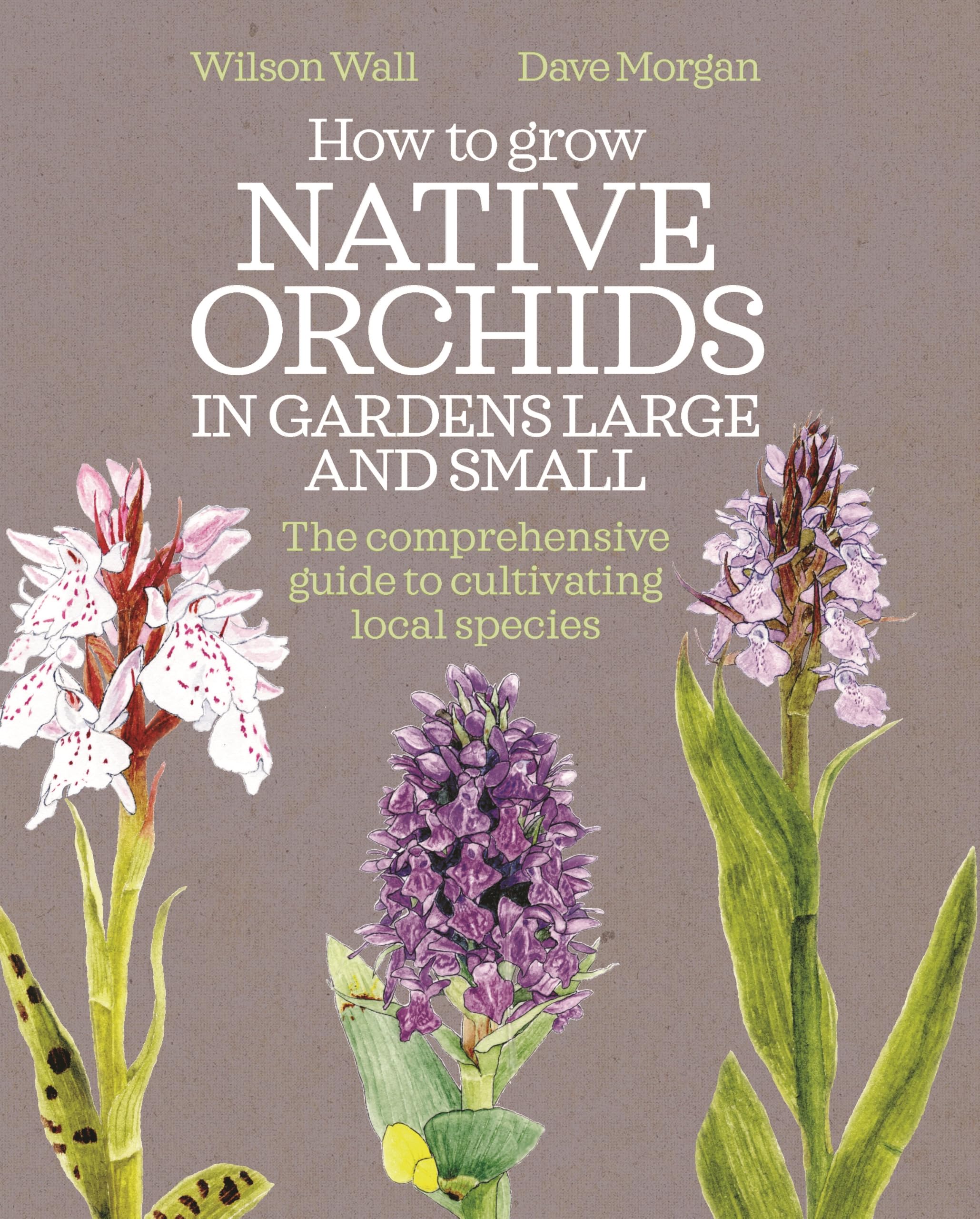 How to Grow Native Orchids in Gardens Large and Small: The comprehensive guide to cultivating local species