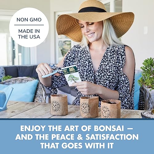 Miniatura 10 de Kit de principiantes de semillas de árbol Bonsai, Mini juego de cultivo de plantas Bonsai, 4 tipos de semillas, macetas, tijeras de podar