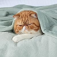 Vista 2 de Bedsure - Manta de vellón, tamaño king, 8.26 oz/yd², suave, ligera, afelpada, acogedora, para cama, sofá, viajes y campamento, color verde salvia