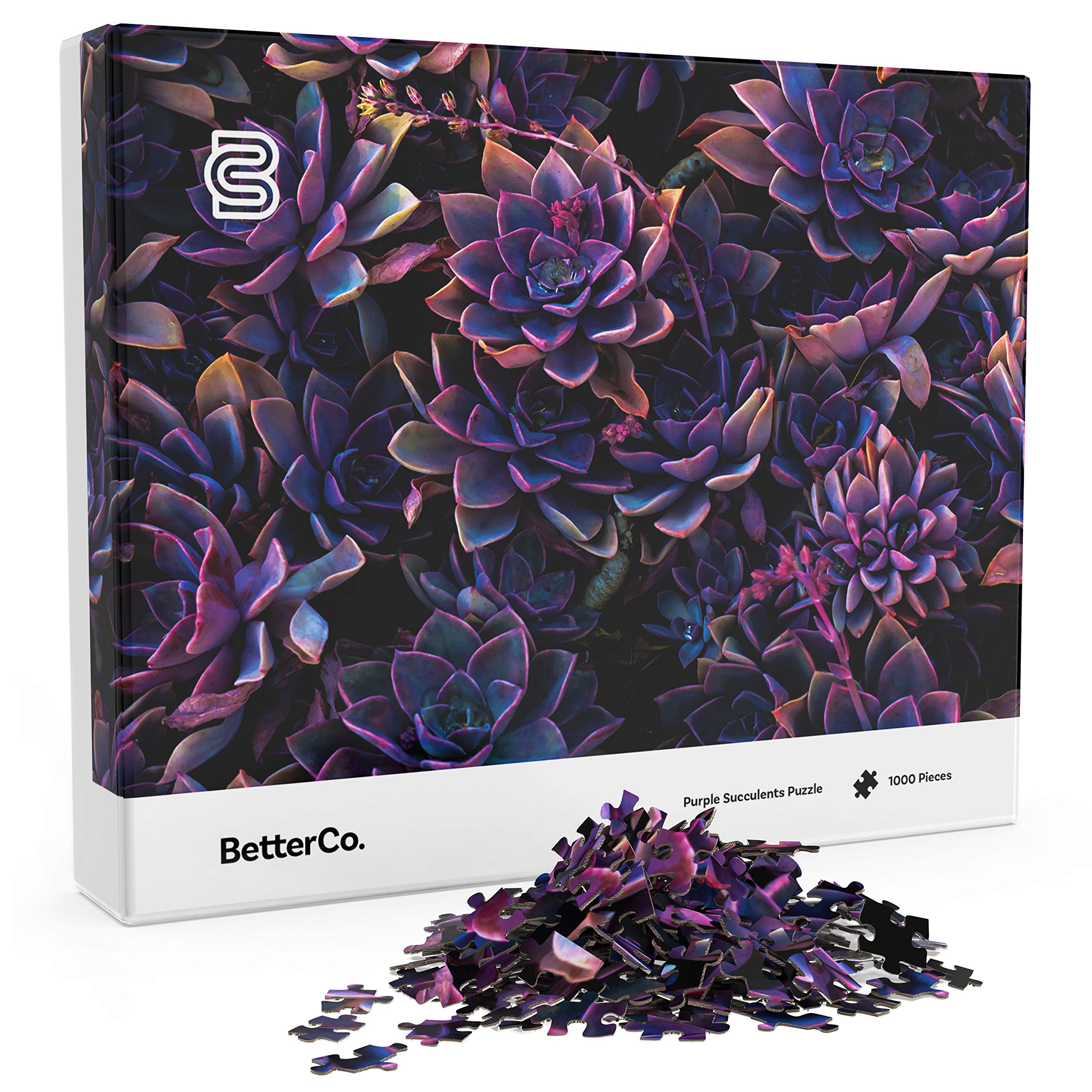 BetterCo. - Purple Succulents 1000 Piece - Difficult Jigsaw Puzzles 1000 Pieces - Challenge Yourself with 1000 Piece Puzzles for Adults, Teens, and Kids
