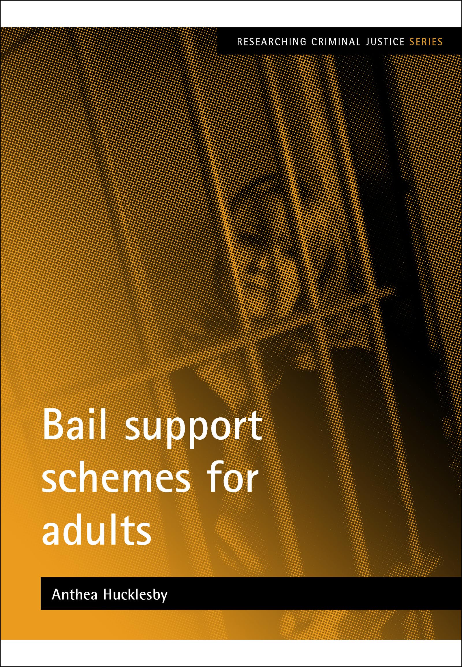 Bail support schemes for adults (Researching Criminal Justice)