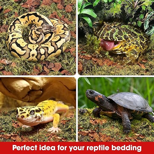 Miniatura 6 de Duspro Reptile Bedding Forest Moss Mix Pine Bark, Sustrato para tanque de reptiles, Ropa de cama de piso para reptiles, Ropa de cama de tortuga