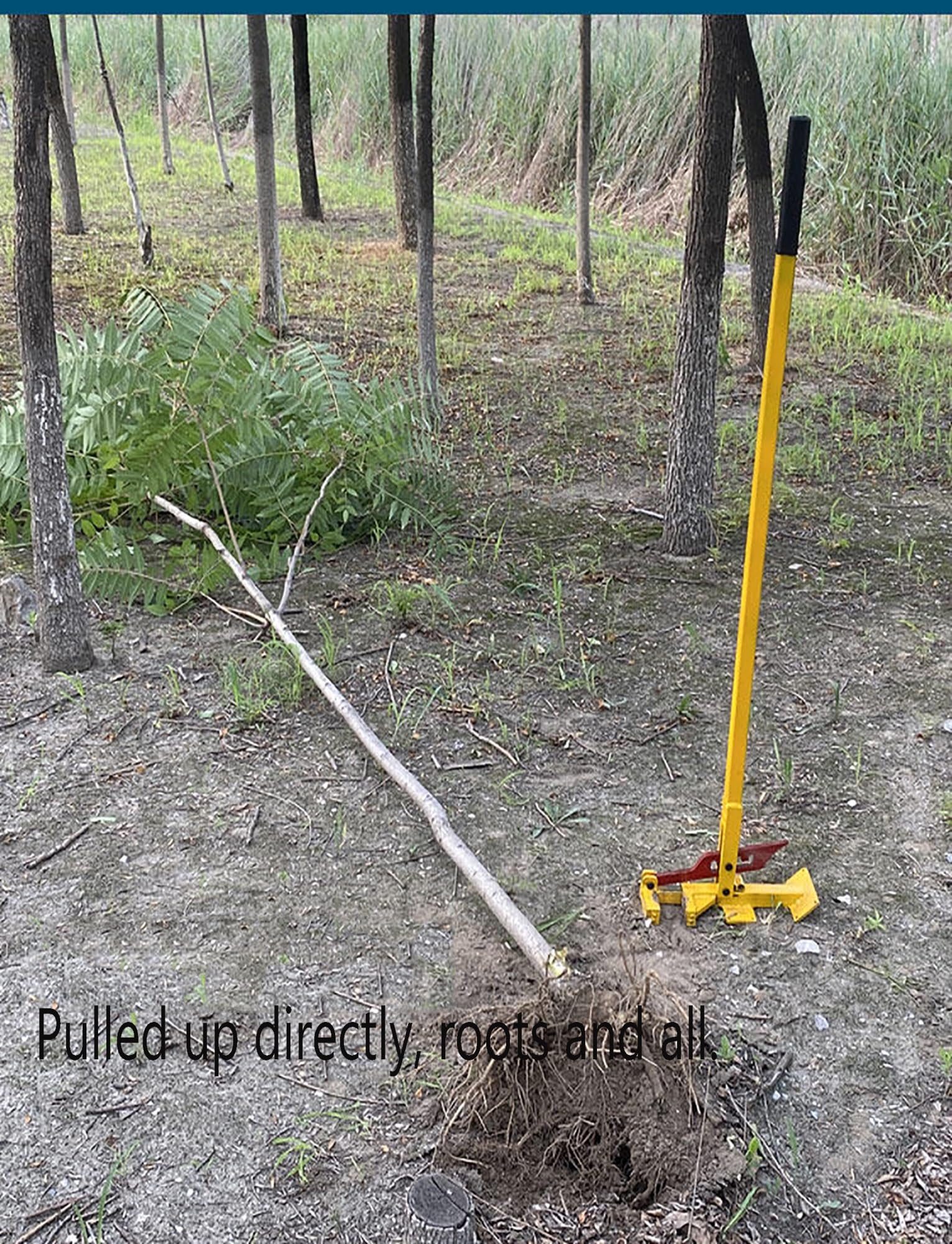 Strumento manuale per rimuovere erbacce per radici profonde, sradicatore per piccoli alberi e arbusti, strumento manuale da giardino con manico lungo, in acciaio resistente