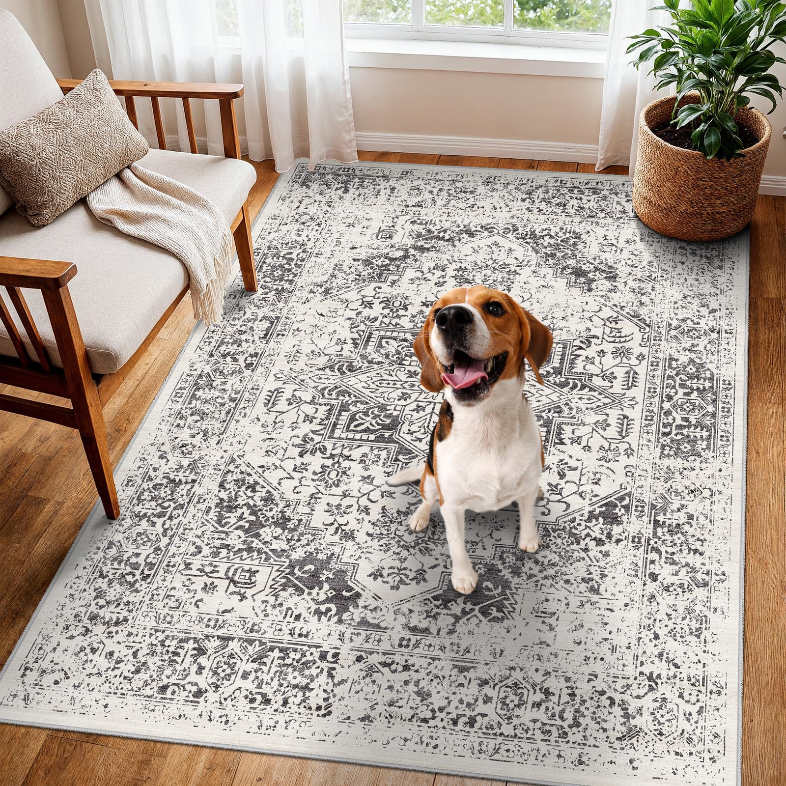 EISUROM Washable 3x5 Area Rug