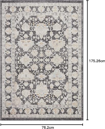 Miniatura 10 de Loloi II Monroe Collection - Alfombra de área carbónnatural de 5 pies y 3 pulgadas x 7 pies 9 pulgadas