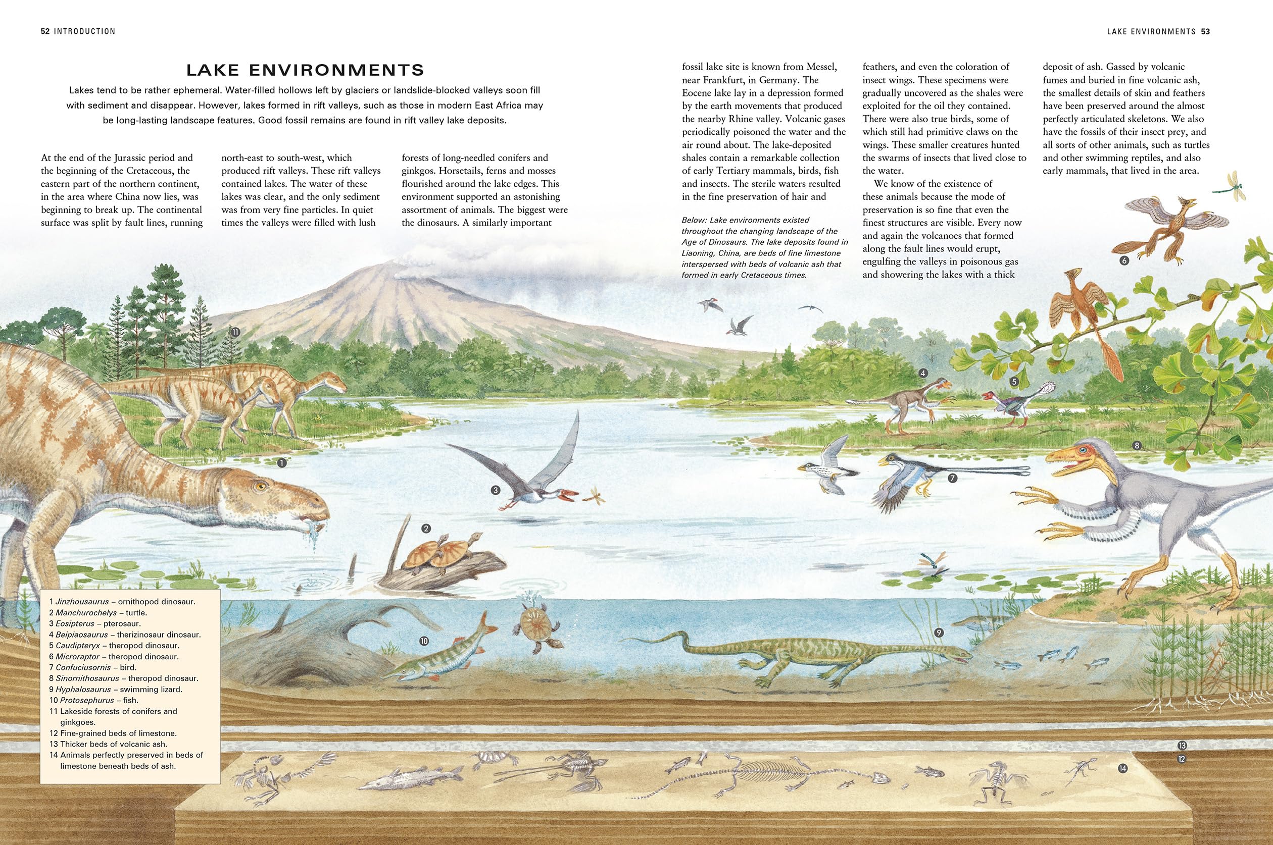 Dinosaurs and Prehistoric Creatures, the Illustrated Enc of: The ultimate reference guide featuring 1000 creatures from the Devonian to the Quaternary period with 2000 illustrations