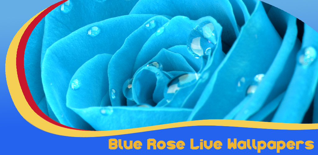 Blue Rose Live Wallpaper Project: 3D Wallpaper With Depth Effect