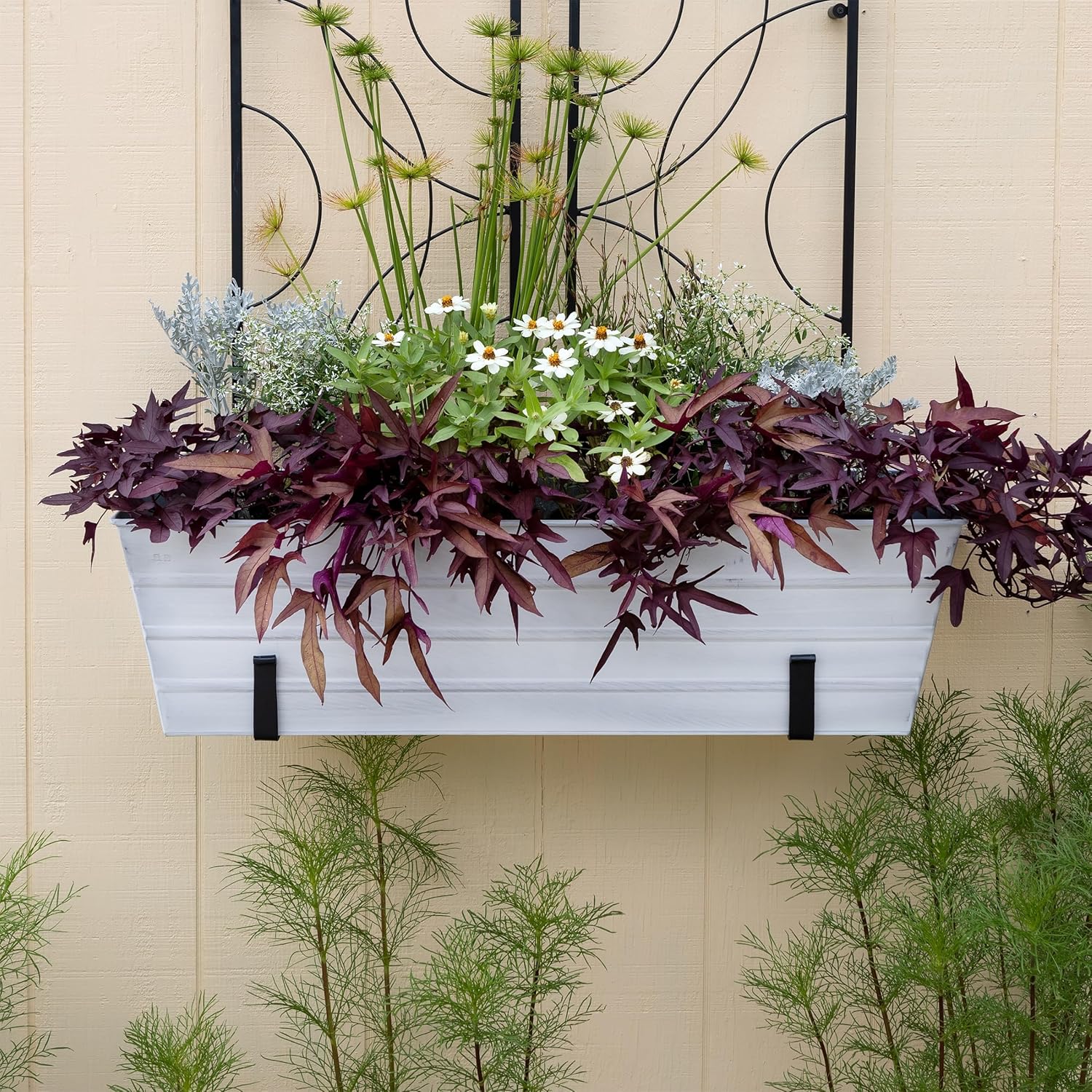 Achla Designs Large White Flower Box with Wall Brackets