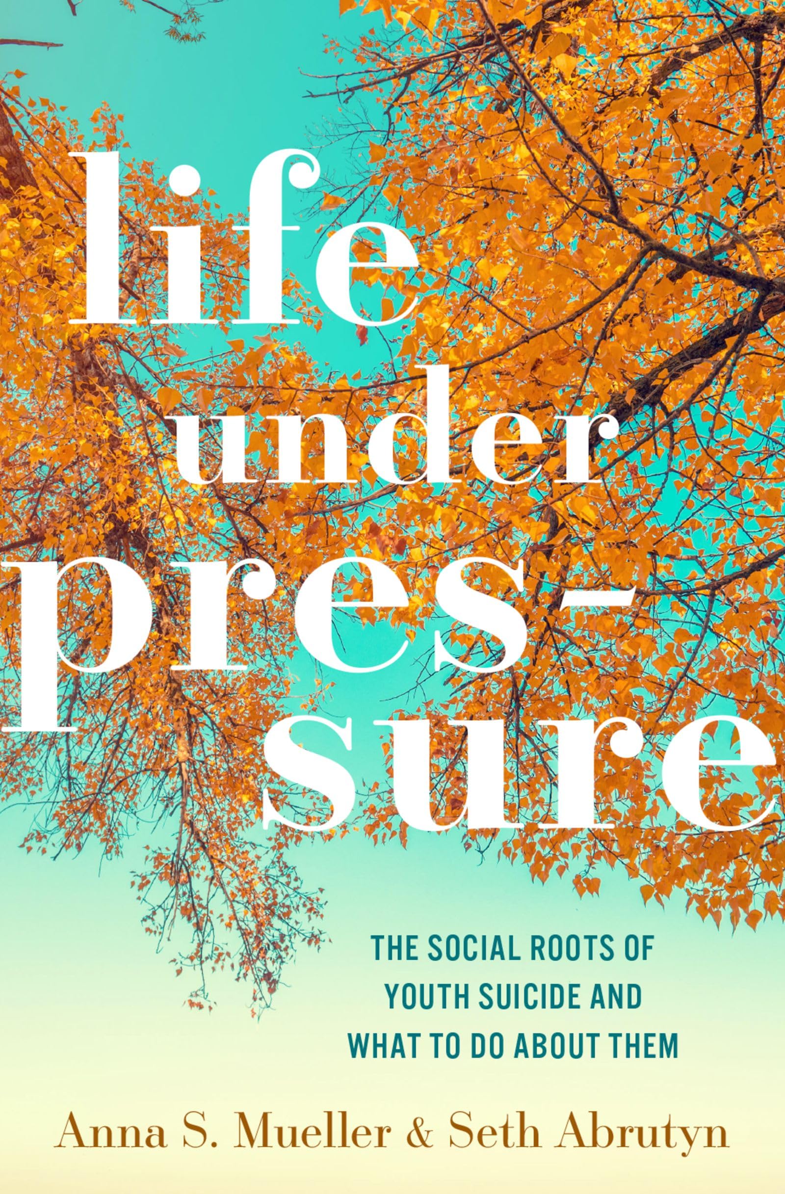 Life under Pressure: The Social Roots of Youth Suicide and What to Do About Them