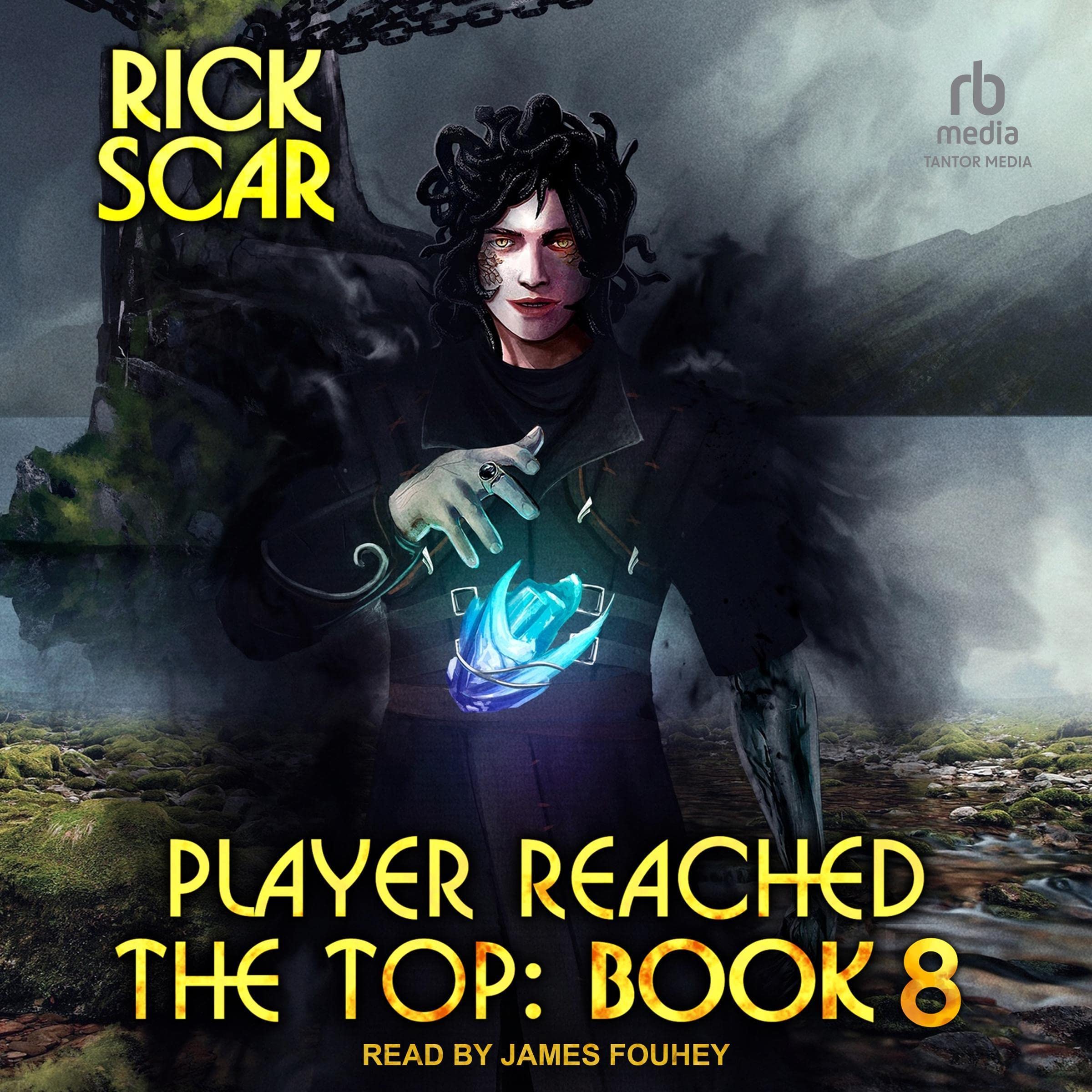 Cover art for Player Reached the Top, Book 8