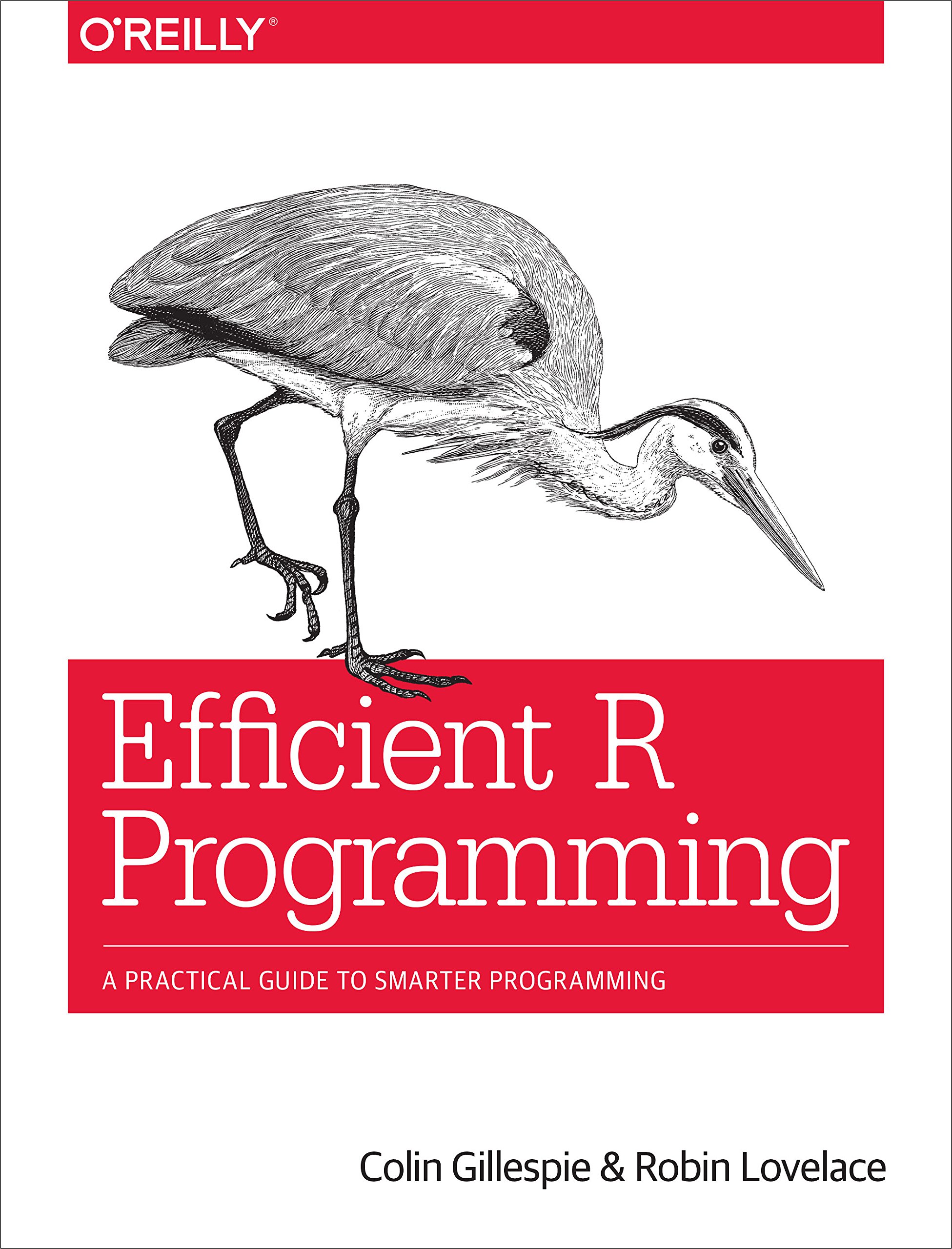 Efficient R Programming: A Practical Guide to Smarter Programming 1st Edition