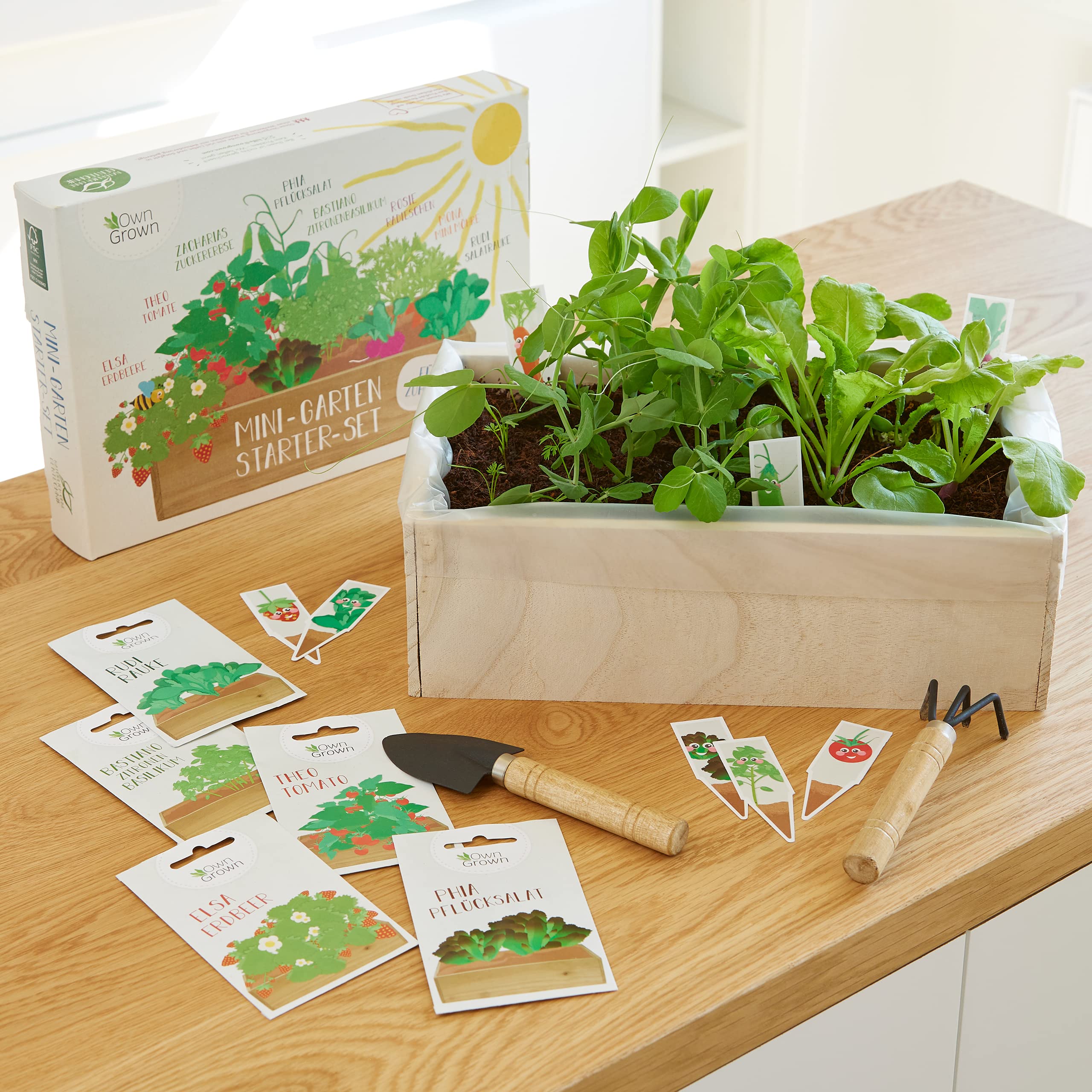 Saatgut Anzuchtset mit Holzkiste und 8 Sorten Pflanzen Samen: Kinder Anzuchtset Pflanzen mit Gemüse, Erdbeeren und Kräuter Samen – Mini Gewächshaus und Mini Garten Starter Kit von OwnGrown