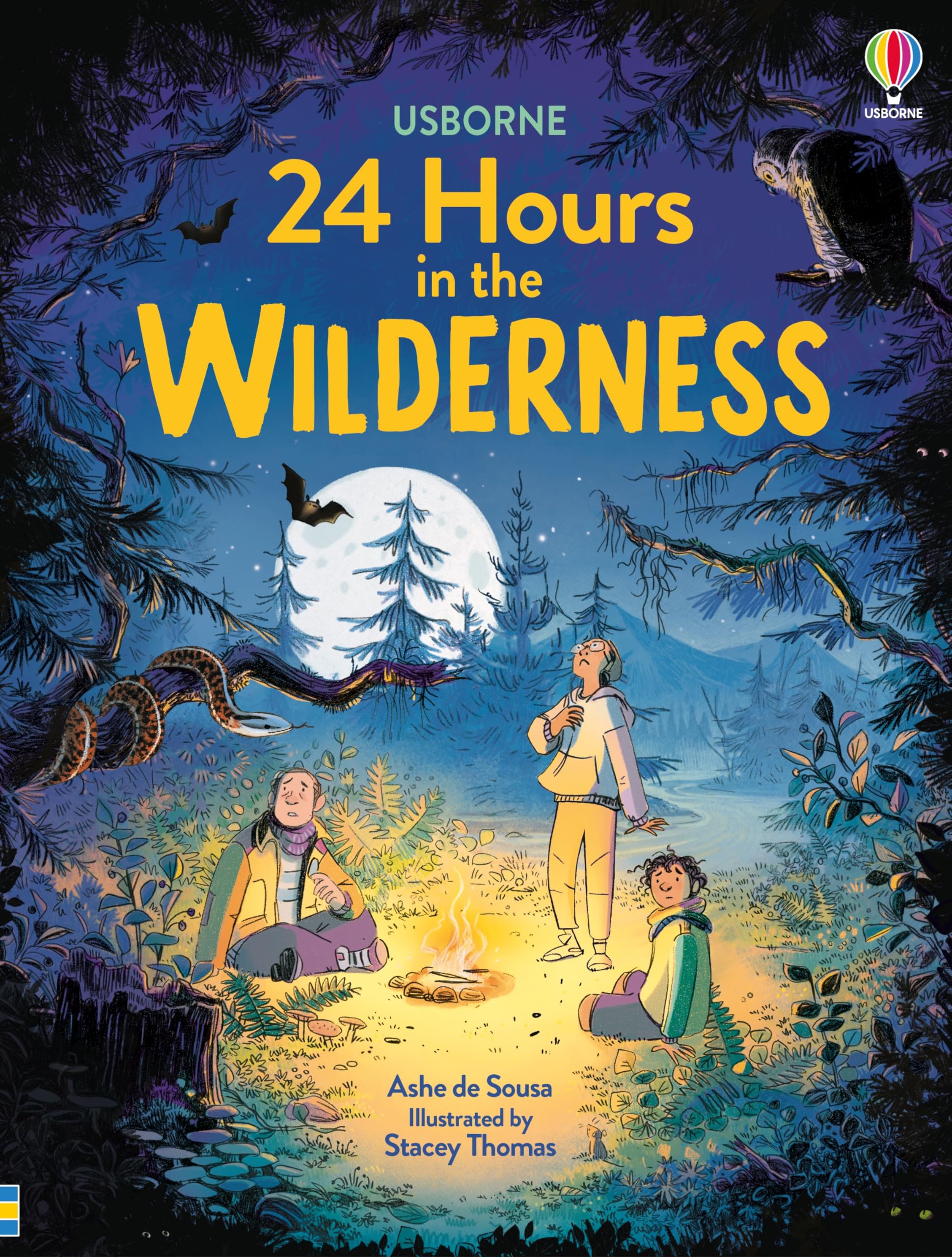 24 Hours in the Wilderness by Ashe de Sousa Hardback