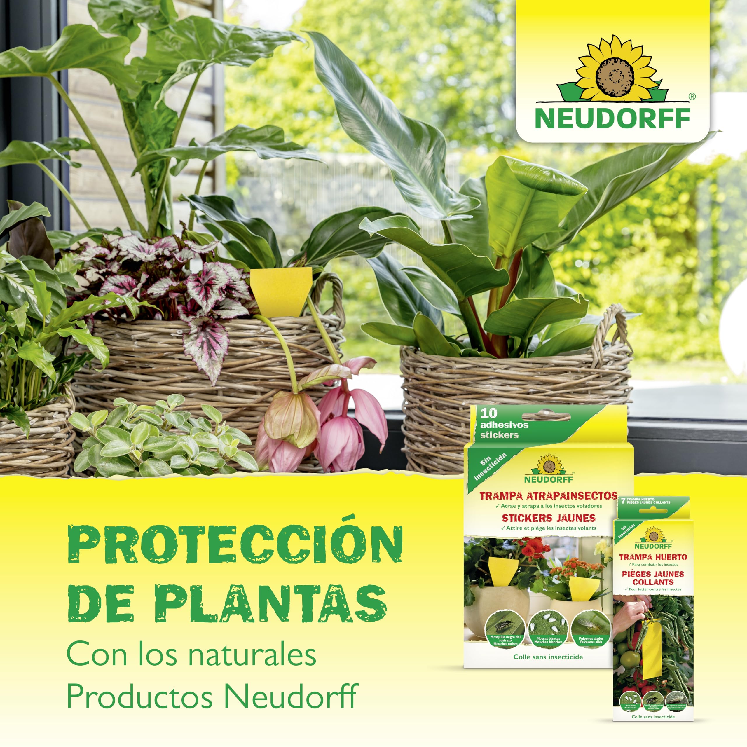 Neudorff Azet Fertilizante Plantas Verdes - Abono orgánico 100% natural para un crecimiento rápido y hojas de color verde intenso para todas las plantas verdes, 250 ml
