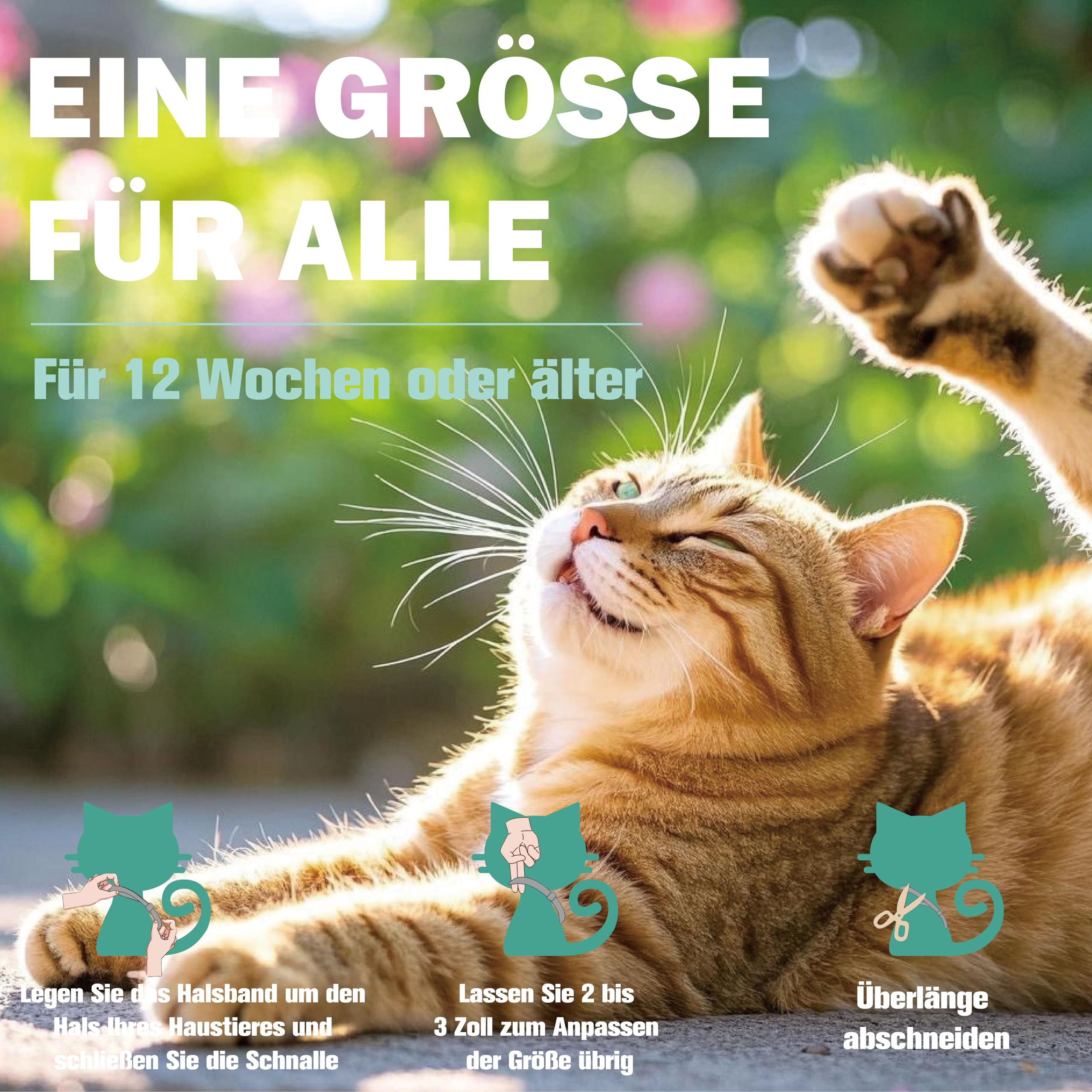 Zeckenhalsband für Katzen 2 Stück, Flohhalsband Katze, Floh und Zeckenhalsband Katzen, Zeckenschutz Flohschutz Halsband für Katzen, für Katzen ab 12 Wochen
