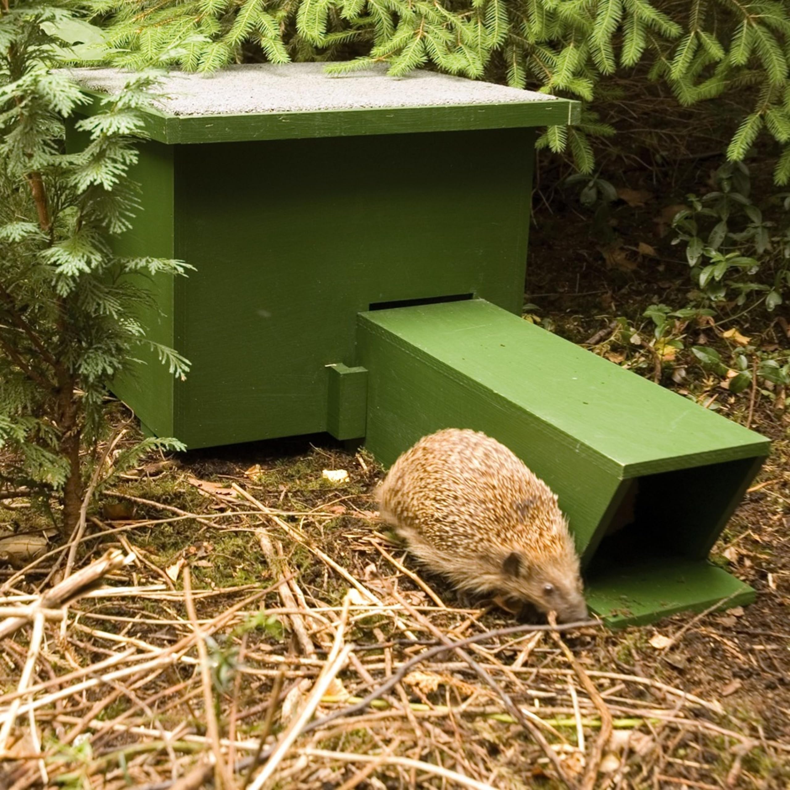 CJ Wildlife Igelhaus Winterfest – Igelfutterhaus aus FSC Holz mit Bitumen-Dach – Wetterfestes Igel Futterhaus für Garten