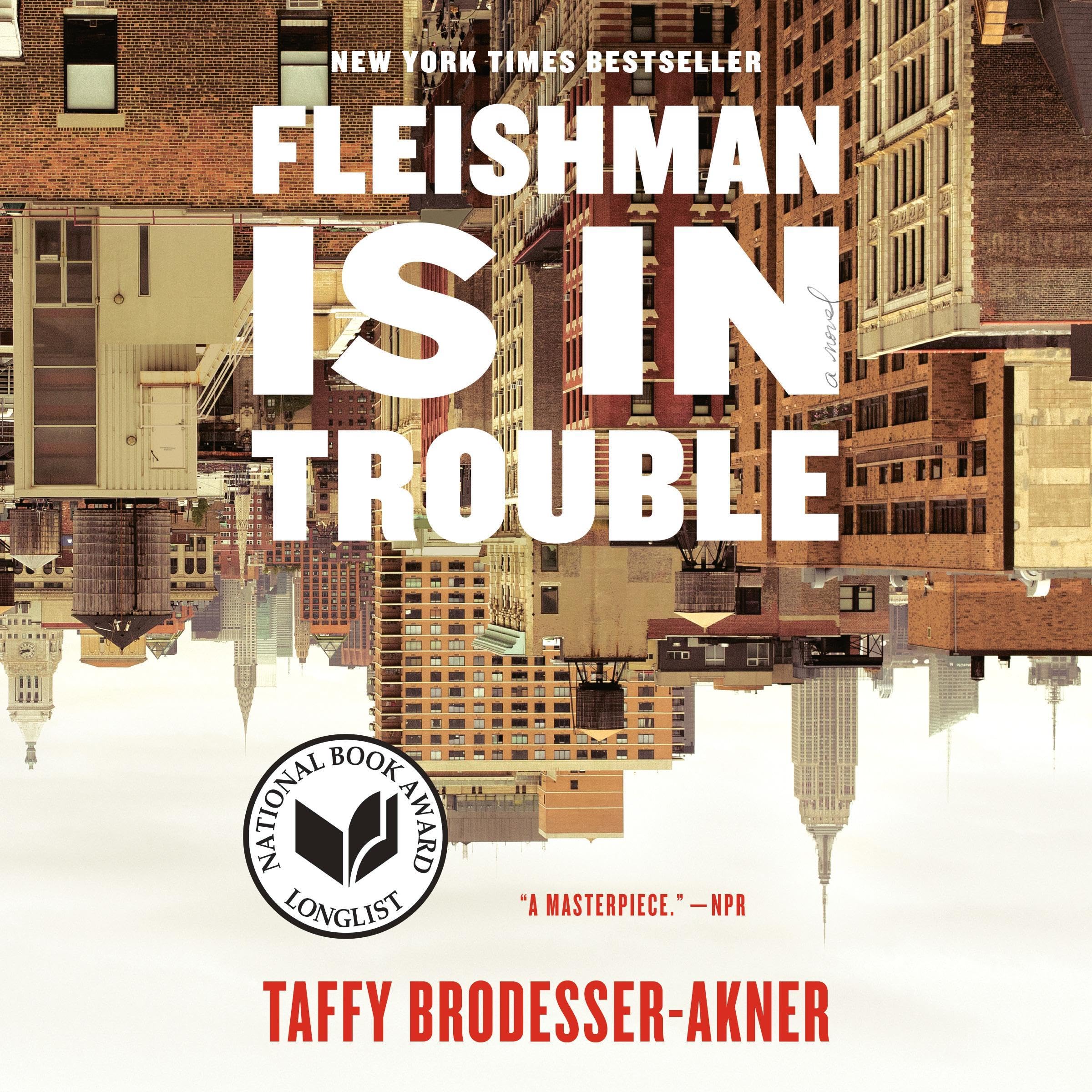 Cover art for Fleishman Is in Trouble