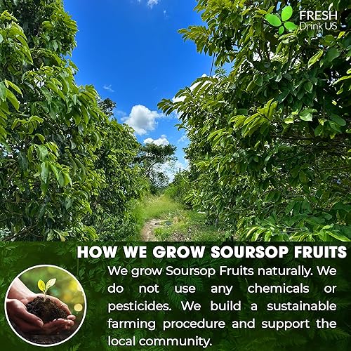 Miniatura 7 de FreshDrinkUS, Polvo de fruta de guanábana prémium de 4.5 onzas, 100% natural y puro de fruta de graviola de guanábana, té de fruta de guanábana, sin