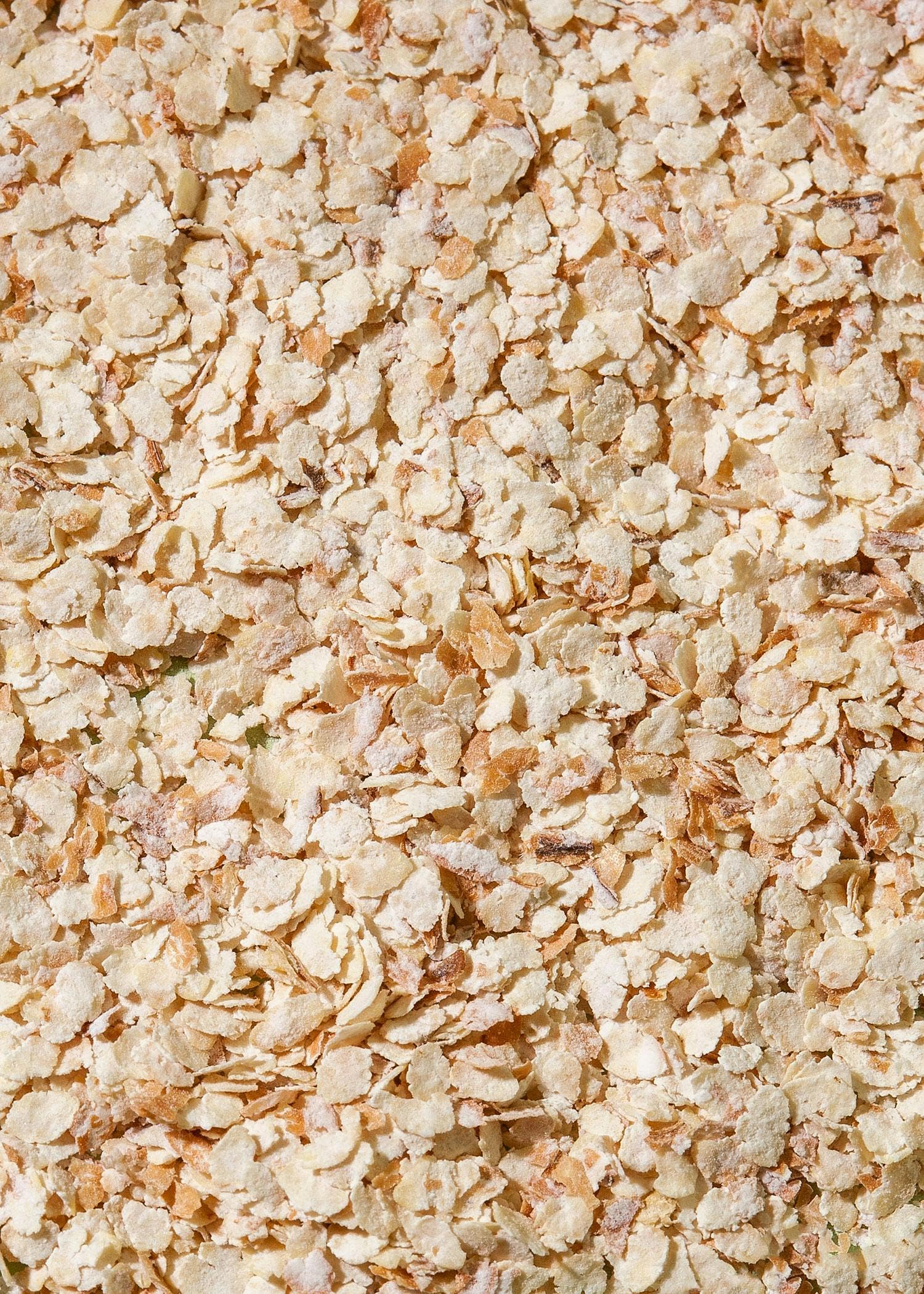 KoRo - Germes de blé bio 6 x 250 g - Source de protéines végétales - Faible teneur en matières grasses - Qualité biologique