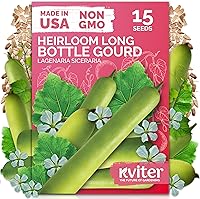 Vista 22 de KVITER 75 semillas de cucamelón para plantar (Melothria Scabra) – Semillas de pepinillo agrio mexicano, pepino de pepinillo, mini sandía mexicana