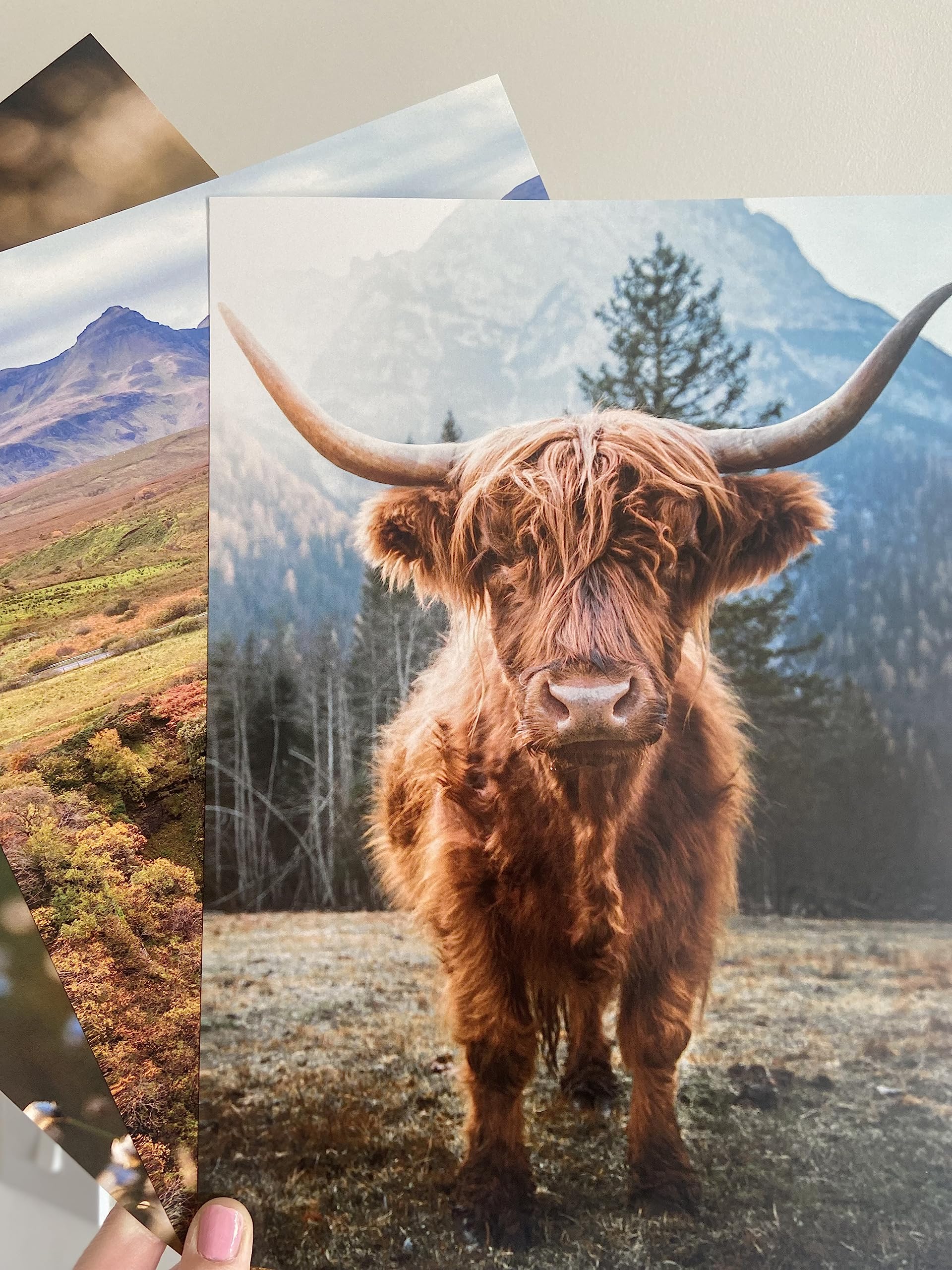 Eviepops Prints Highland Cow Set of 3 Unframed Wall Prints, Scottish Natural Landscape, Living Room Bedroom Home Décor - Image 4