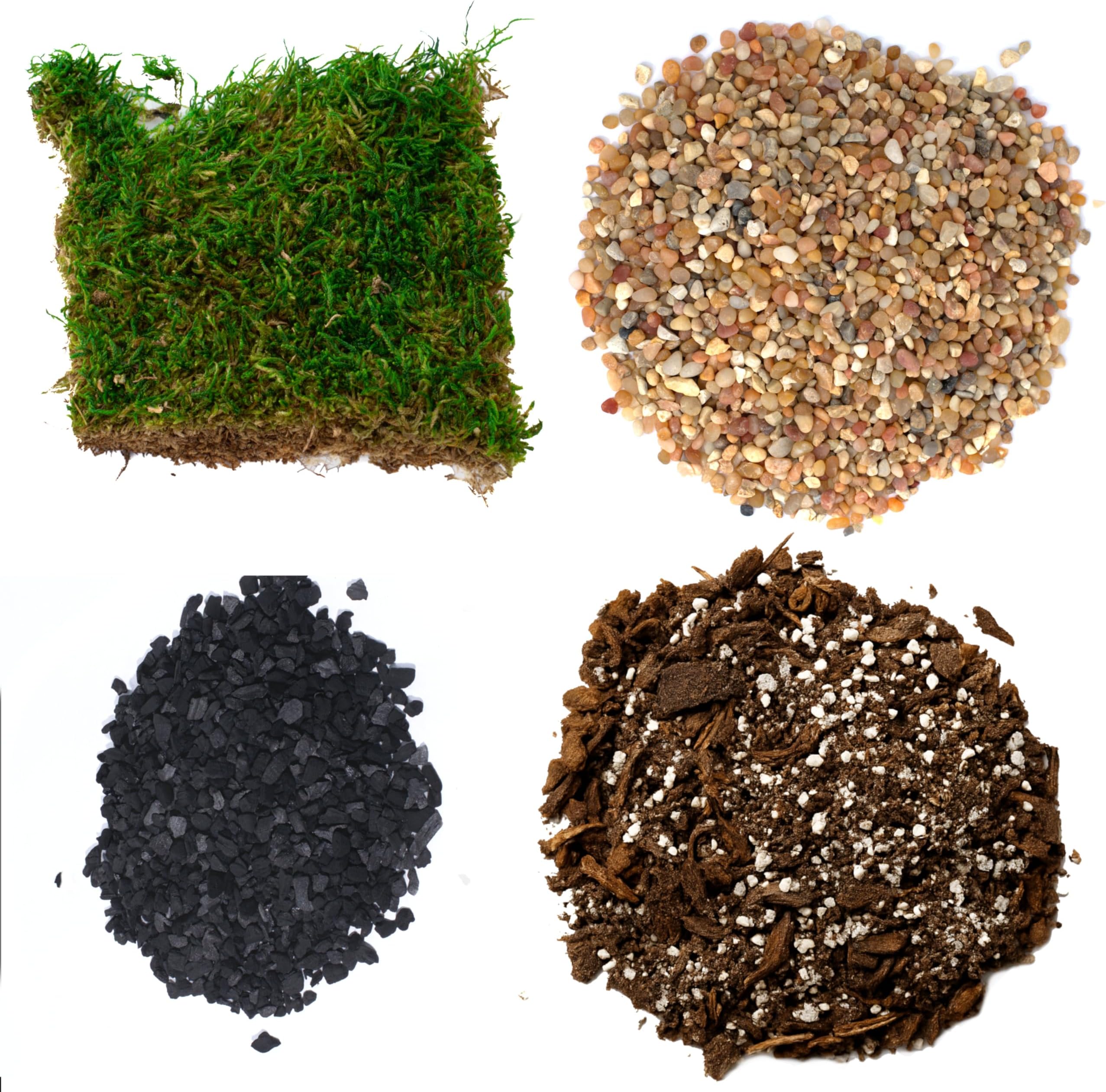 Succulent Planter Soil Kit - Total DIY Terrarium Supplies -Terrarium Kit for Succulent or Catcus - Create Your own Terrarium with These Supplies - Great for Fairy Gardens (Medium)