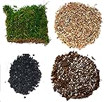 Succulent Planter Kit - Terrarium Kit with Succulent Soil, Gravel, Pebble, Moss,