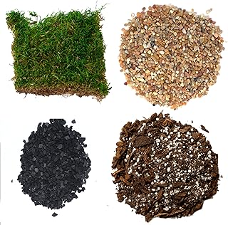 Succulent Planter Kit - Terrarium Kit with Succulent Soil, Gravel, Pebbl...