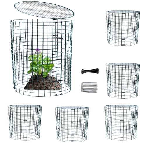 6 Pack Plant Protector from Animals, 12'' Dia x 12''