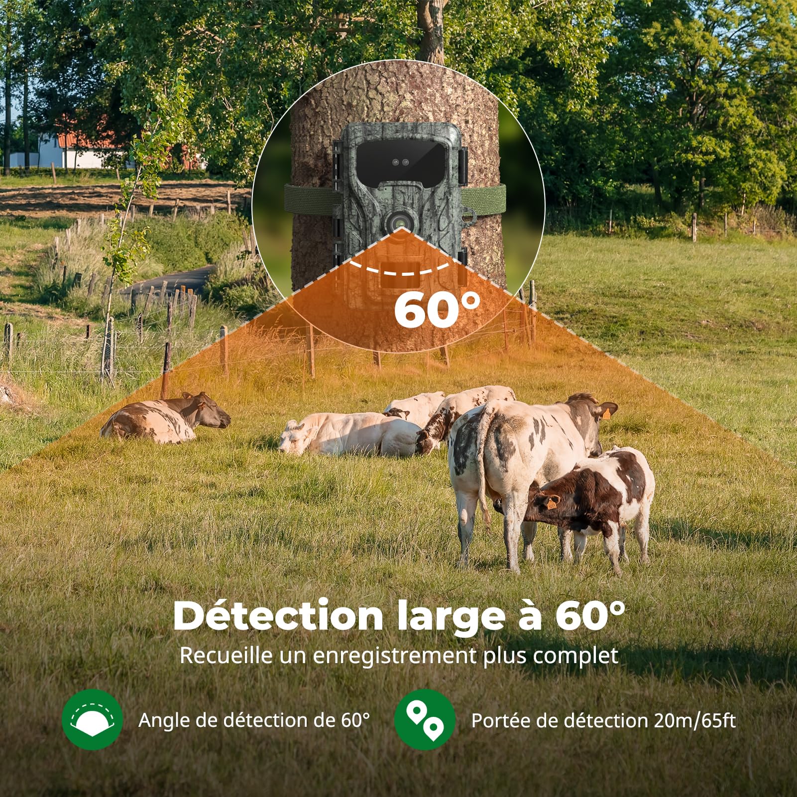 Camera de Chasse 4K 48MP: Caméra de Chasse Pas de WiFi avec 2'' LCD Écran,Carte SD 64GB,Étanche IP66, Enregistrement en Boucle pour l'observation de Chevreuil, Renard de la Faune