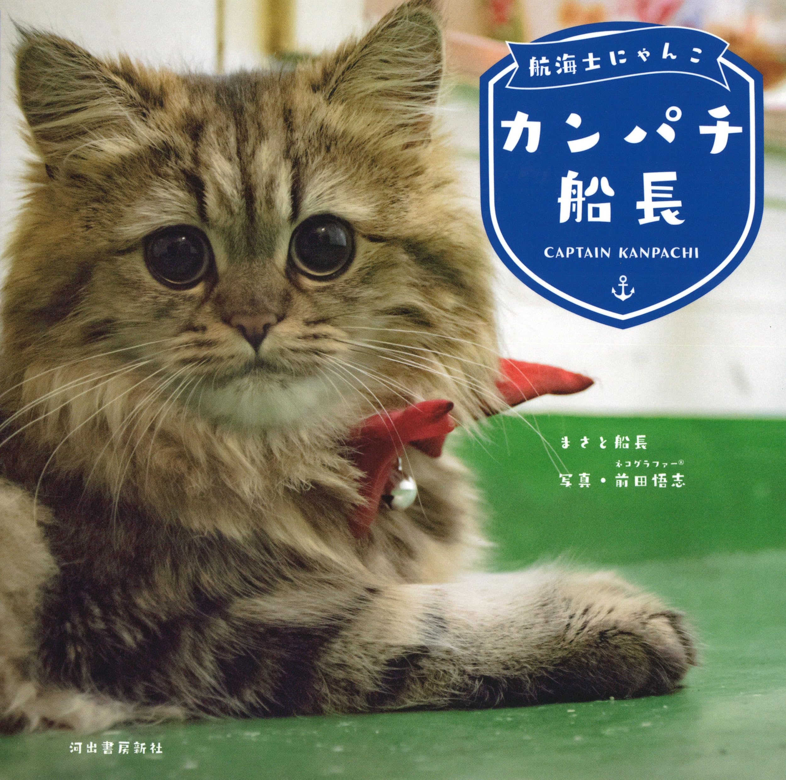 手乗りプチ猫?中古激レア8.5cm 航海士にゃんこ カンパチ船長 | まさと船長, 前田悟志 |本 | 通販 | Amazon