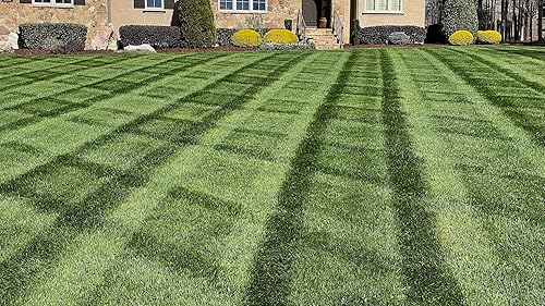 Miniatura 2 de 20-0-10 Fertilizante Todopoderoso para césped + 3.4% de hierro, 40% de liberación lenta y GreenTRX - 1 bolsa cubre hasta 5,000 pies cuadrados (15