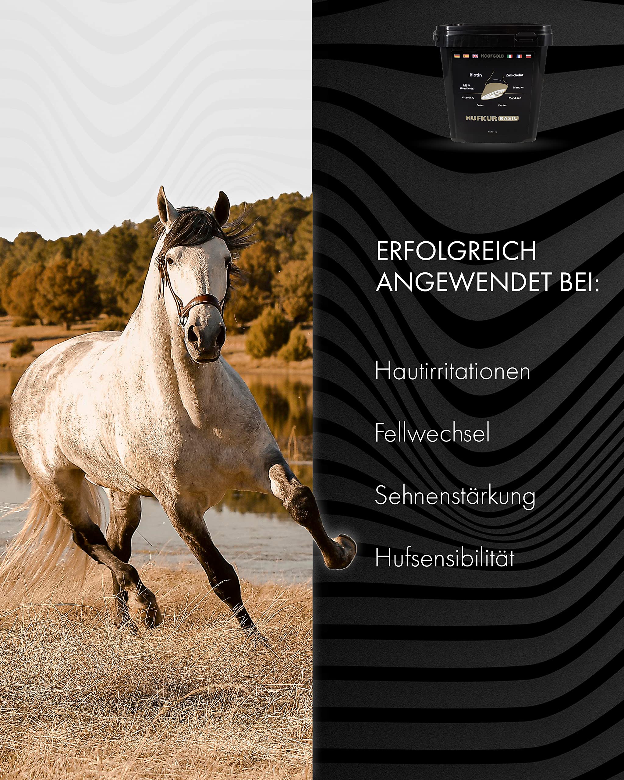 Complemento alimenticio para caballos - Refuerza el sistema inmunitario de los caballos - Antidoping - 4 kg de vitaminas para los pies