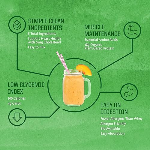 Miniatura 4 de Sunwarrior - Proteína vegana en polvo de arroz integral, proteína cruda a base de plantas con aminoácidos, sin gluten, sin soja, 0 azúcar añadido,