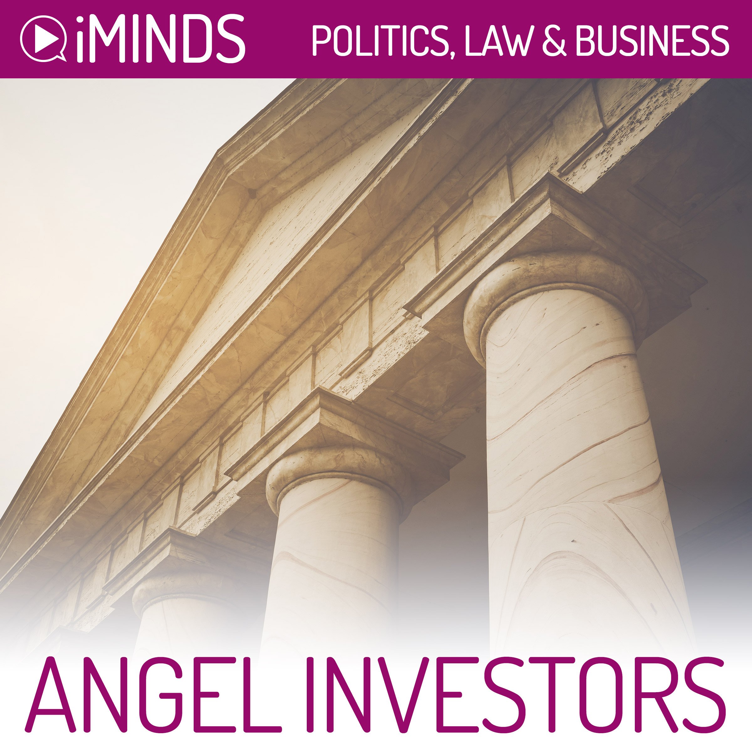 Cover art for Angel Investors