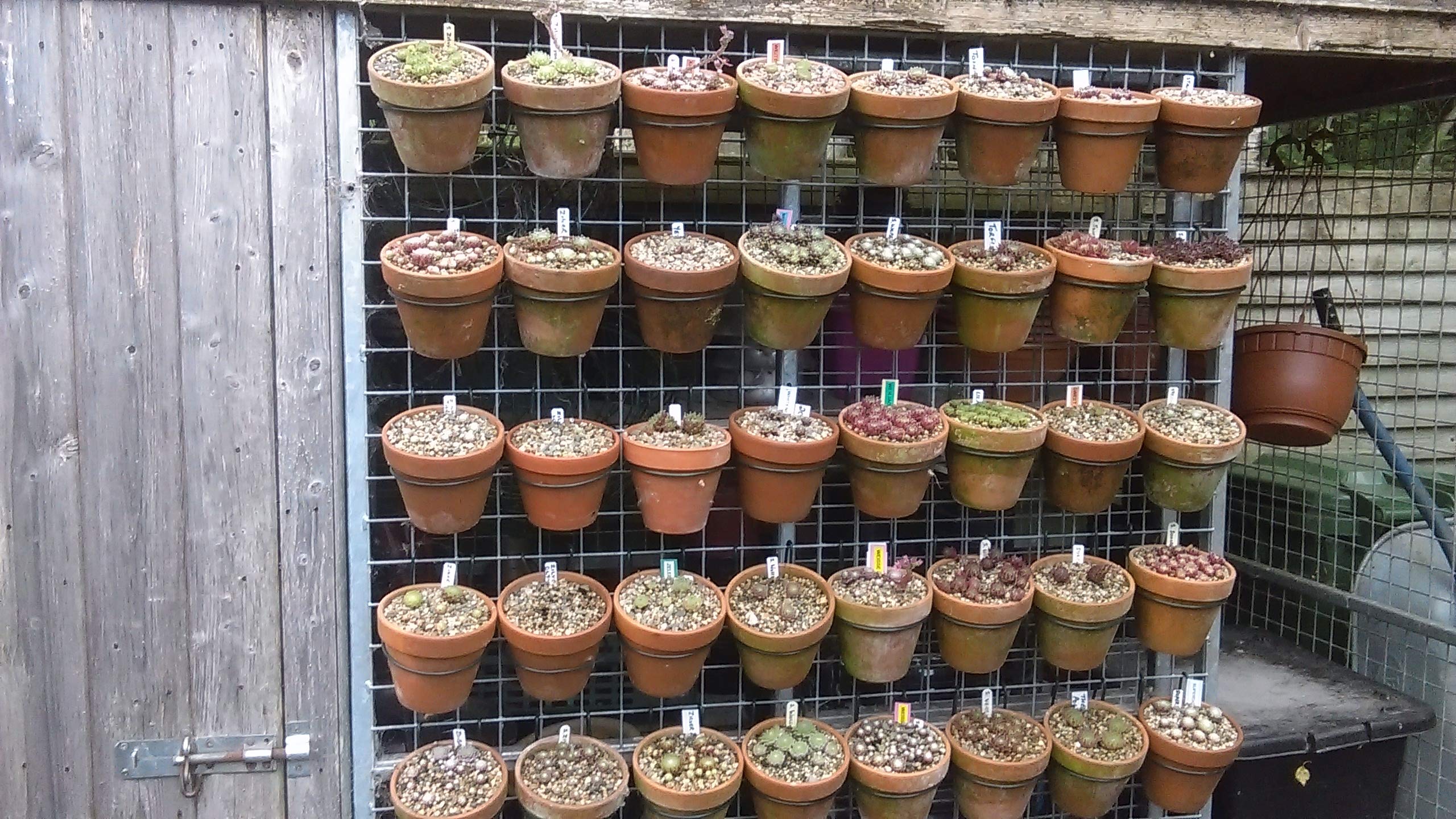 6 Plant pot holders,hangers rings, brackets. Hang 6" pots on chain link