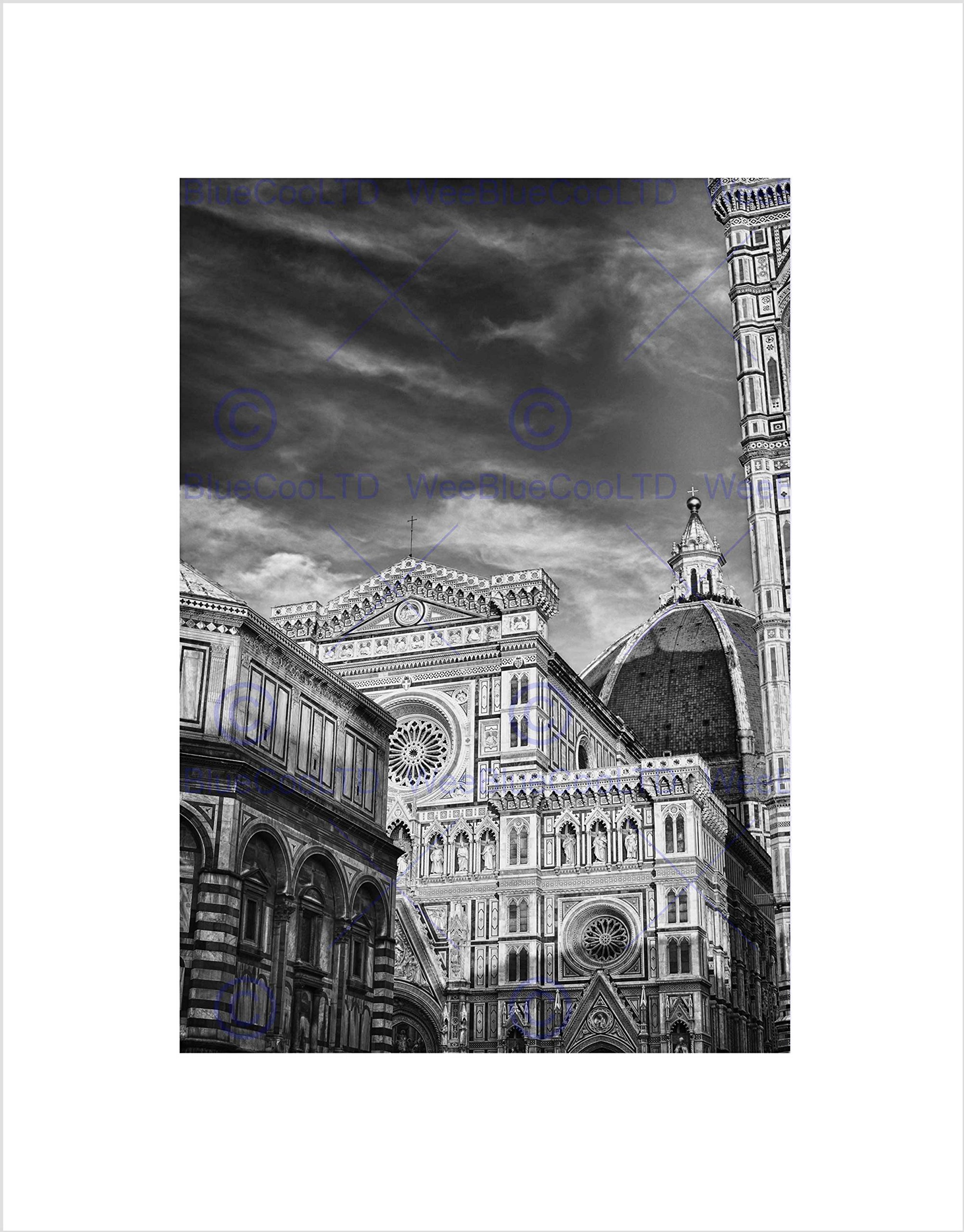 Wee Blue Coo PHOTO ARCHITECTURE FLORENCE DUOMO CATHEDRAL BLACK WHITE ITALY ART PRINT B12X8159