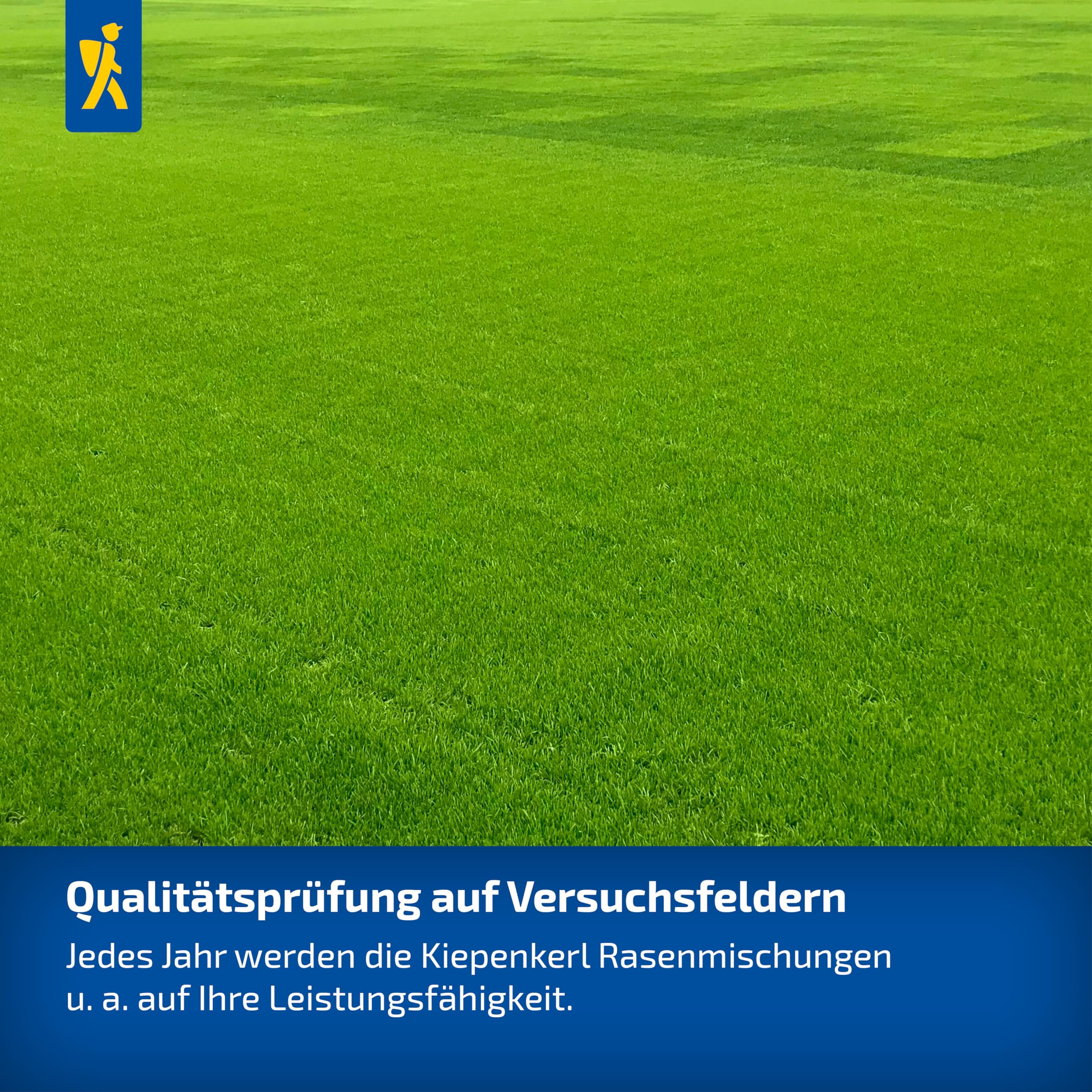 Kiepenkerl Spiel- & Sportrasen 1085238-10kg für 400m² - strapazierfähig - schnellkeimend und robust - robust und strapazierfähig - Saatgut Made in Germany | dicht wachsend, trittfest, ideal fuer Familiengaerten, schnelle Regeneration, hochwertige Grasmisc