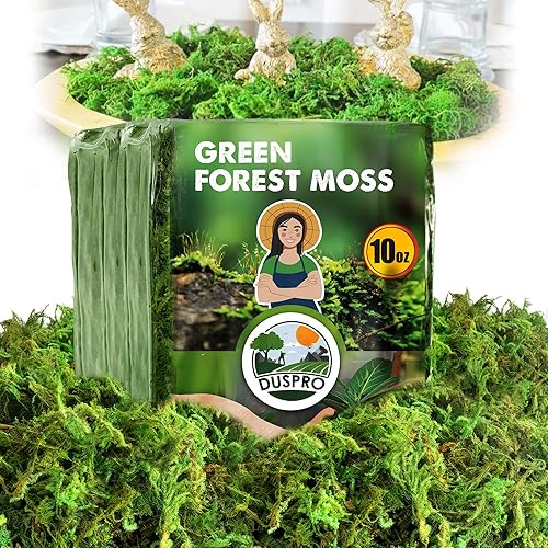 Miniatura 10 de DUSPRO Musgo Verde Mejorado para Manualidades, Musgo Real de Bosque en Plantas en Maceta, Musgos Decorativos para Centros de Mesa de Boda, Navidad