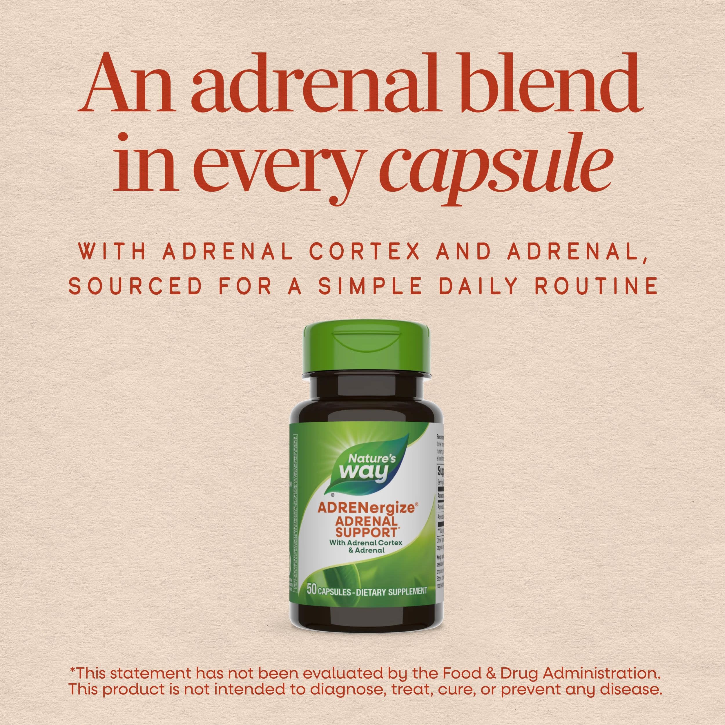 Nature's Way ADRENergize Adrenal Support Glandular Complex*, 50 ct — Amazon image 3