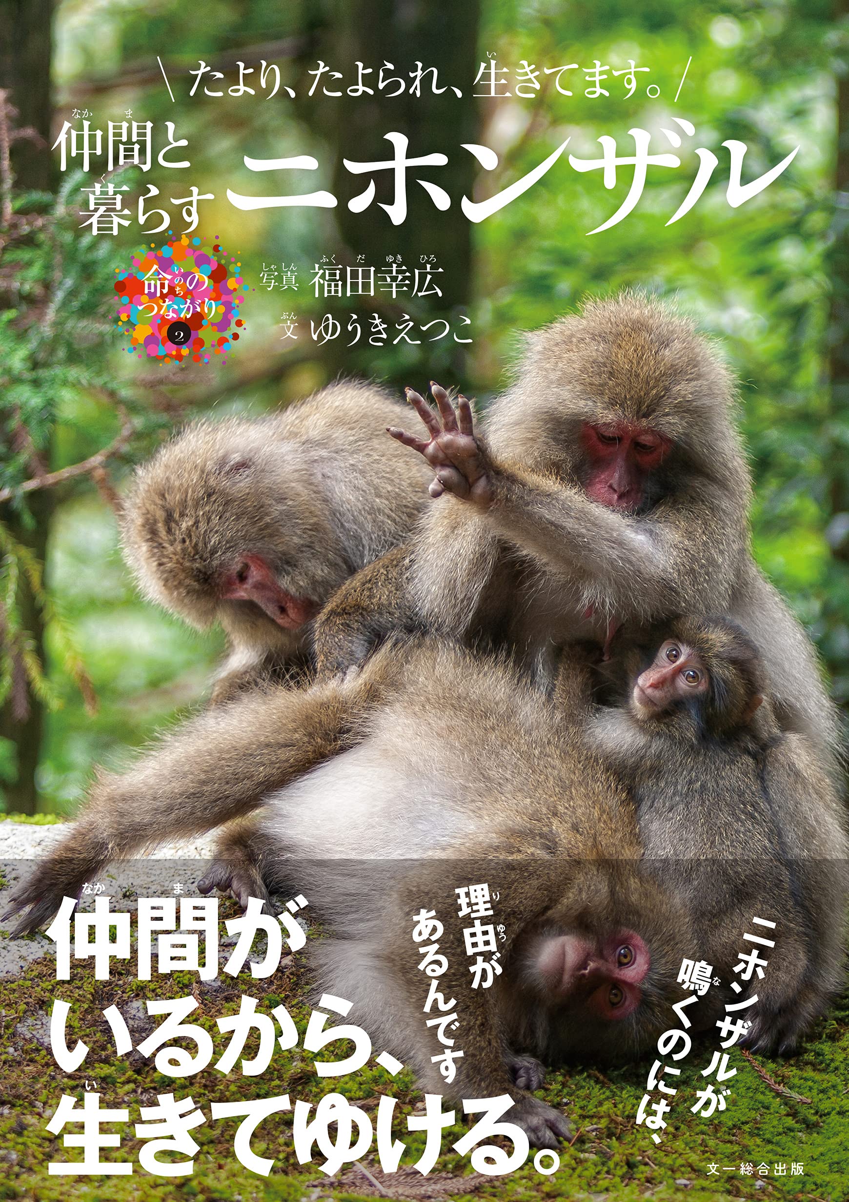 たより、たよられ、生きてます。 仲間と暮らすニホンザル (命の