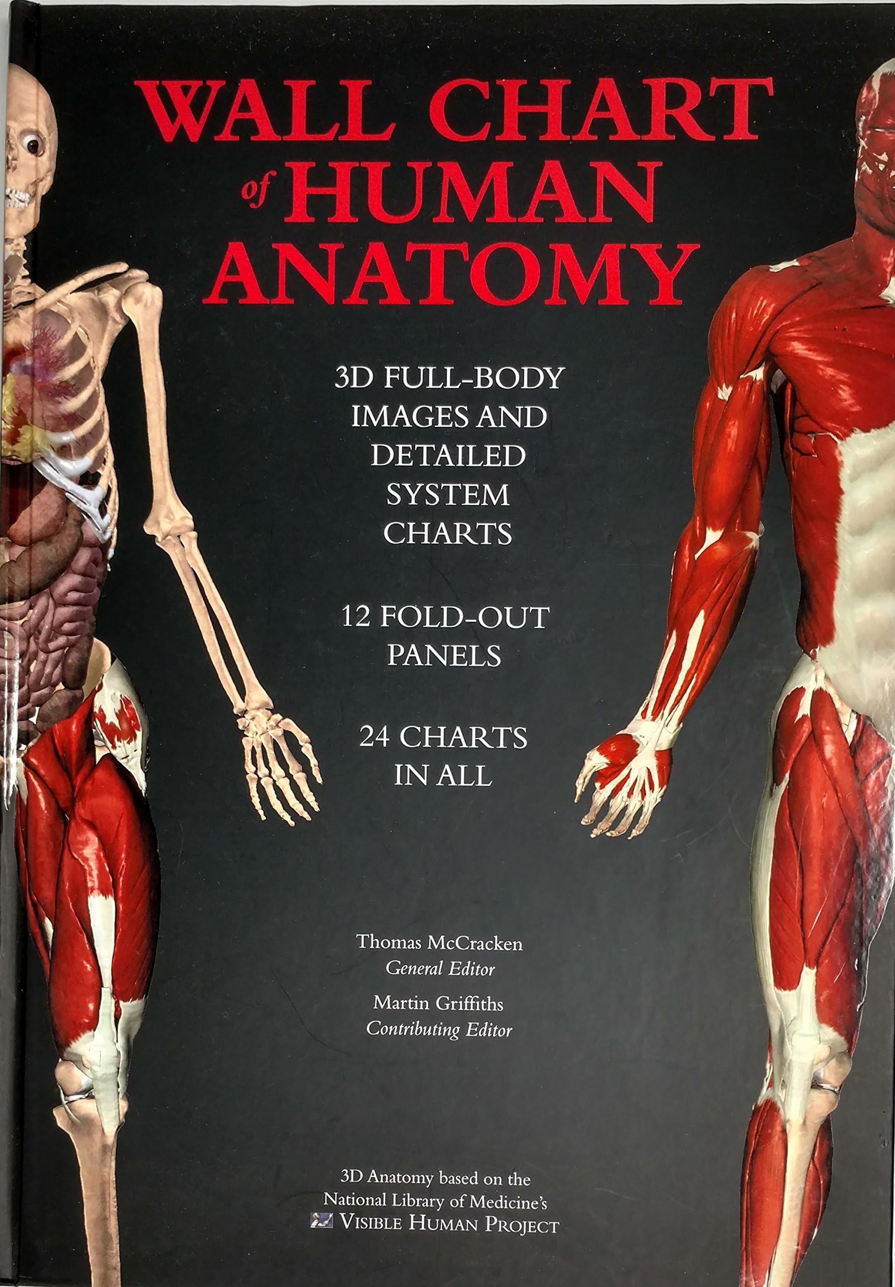 Wall Chart Of Human Anatomy - 3d Dull-body Images And Detailed System Charts