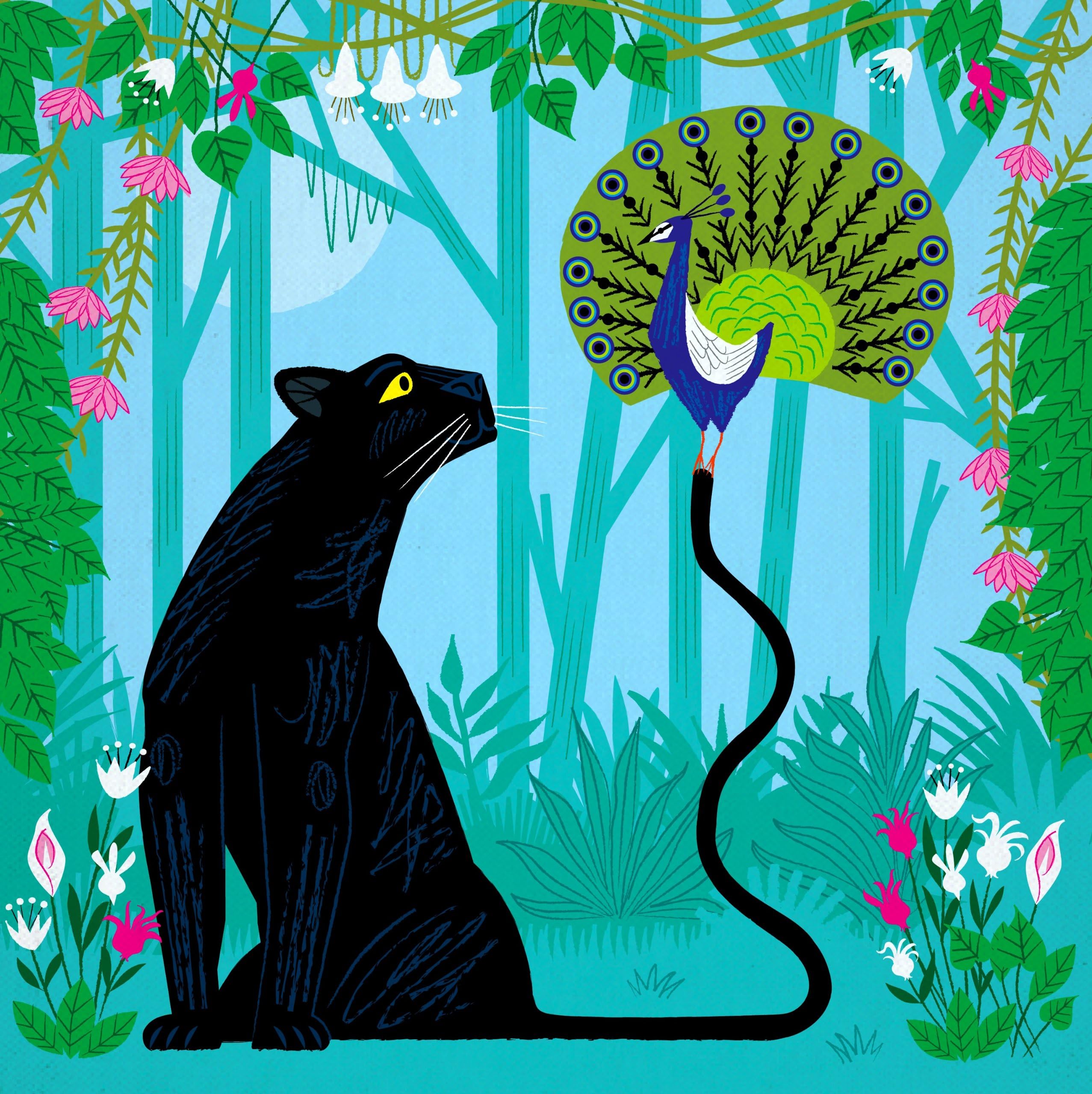 Iota Illustration The Peacock and The Panther - Limited Edition - A3 signed - Art Poster Print by Oliver Lake