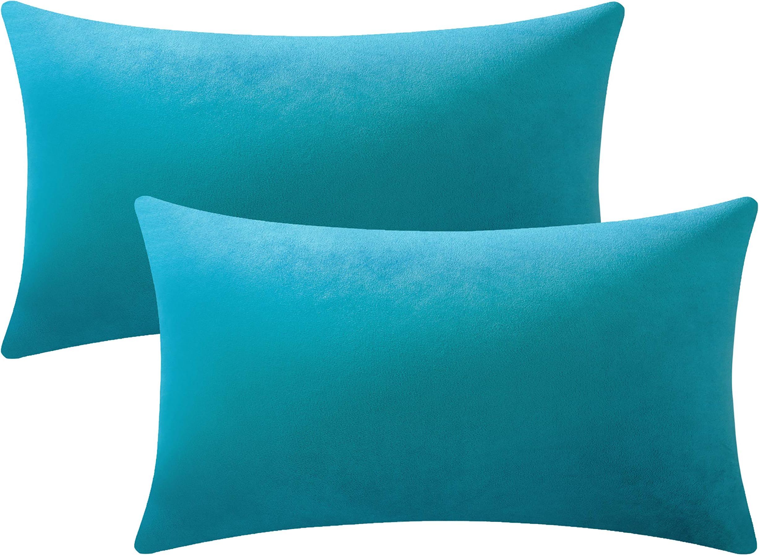 Lumbar Pillow Covers 12x20 Turquoise: Pack of 2 Cozy Soft Velvet Rectangular Modern Luxury Decorative Throw Pillow Cases for Sofa Couch Living Room Bed Home Decor