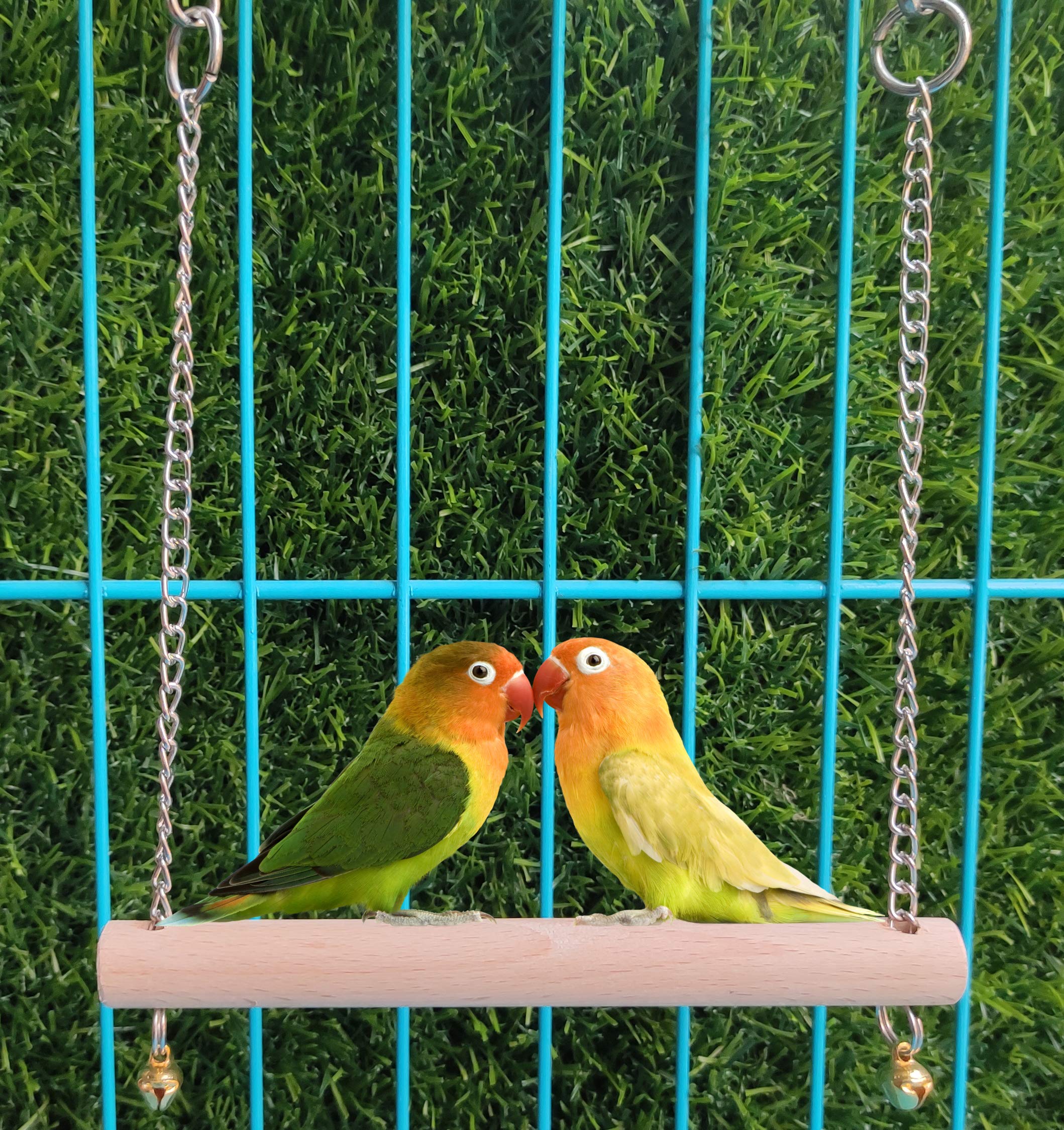 See full amazon price history chart for FunMart Birds Playful Swing Perch Suitable for 2 Small/Medium Birds FunMart Birds Playful Swing Perch Suitable for 2 Small/Medium Birds (B08KNM7PCT) Amazon Price History, Amazon Price Tracker