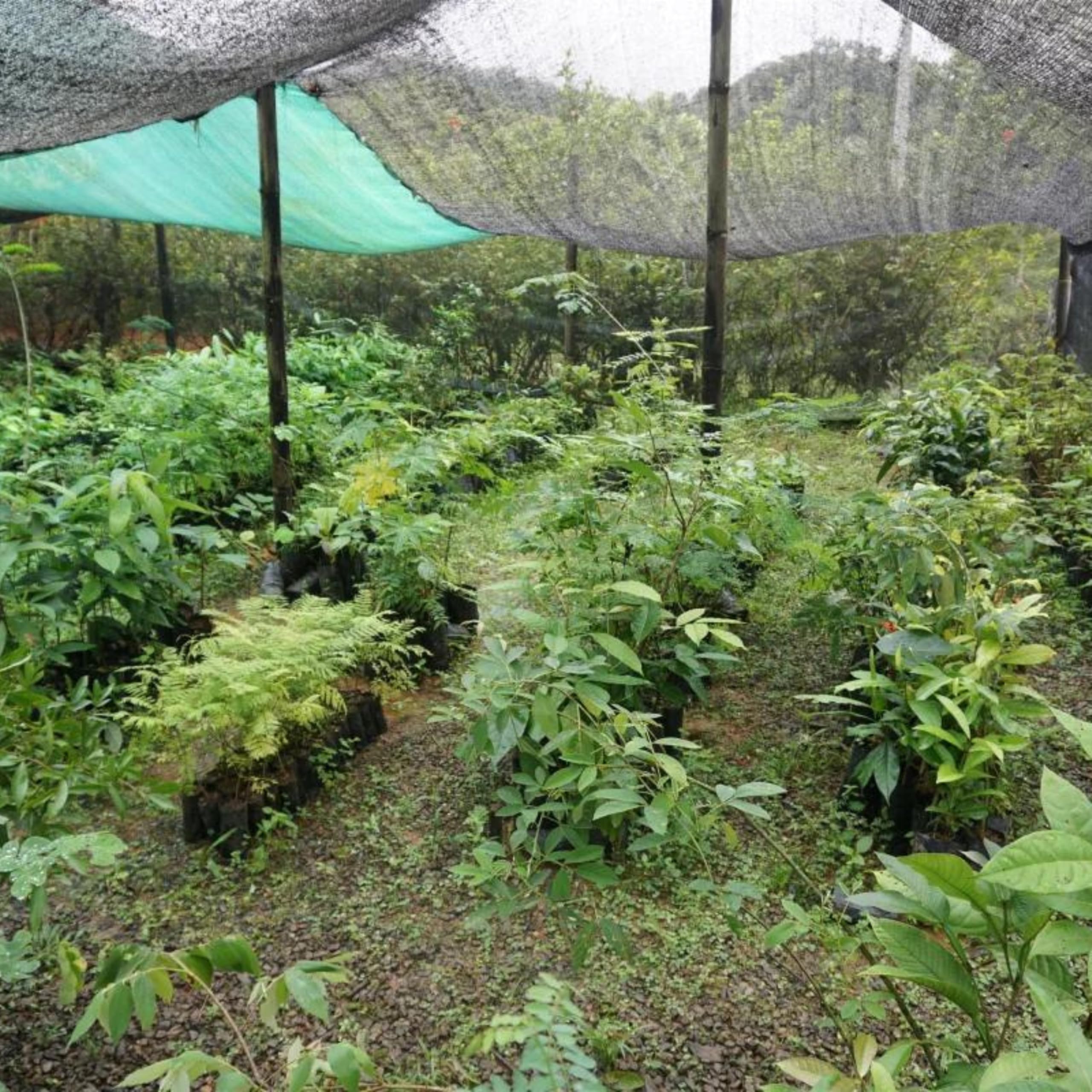 Sensalux Nature Vlies Tischdeckenrolle 1,18 x 40m, Perle | Vlies Tischdeckenrolle abwaschbar & wasserabweisend, stoffähnliche Meterware für Party, Geburtstag, Event & Catering