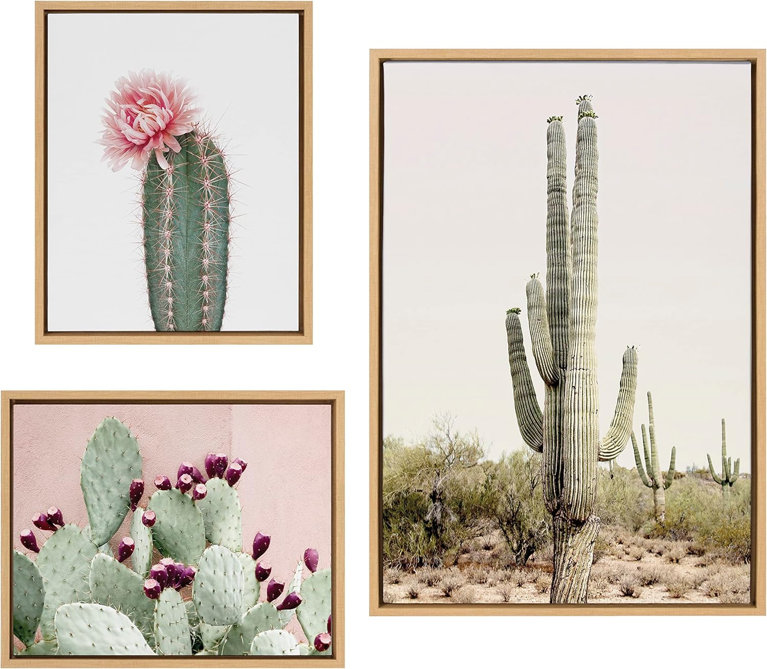 Kate and Laurel Sylvie Sunrise Cactus, Pink Cactus Flower and Cactus 25 Framed Canvas Wall Art Set by Amy Peterson Art Studio, 3 Piece Set 16x20 and 23x33 Natural, Southwest Desert Wall Décor