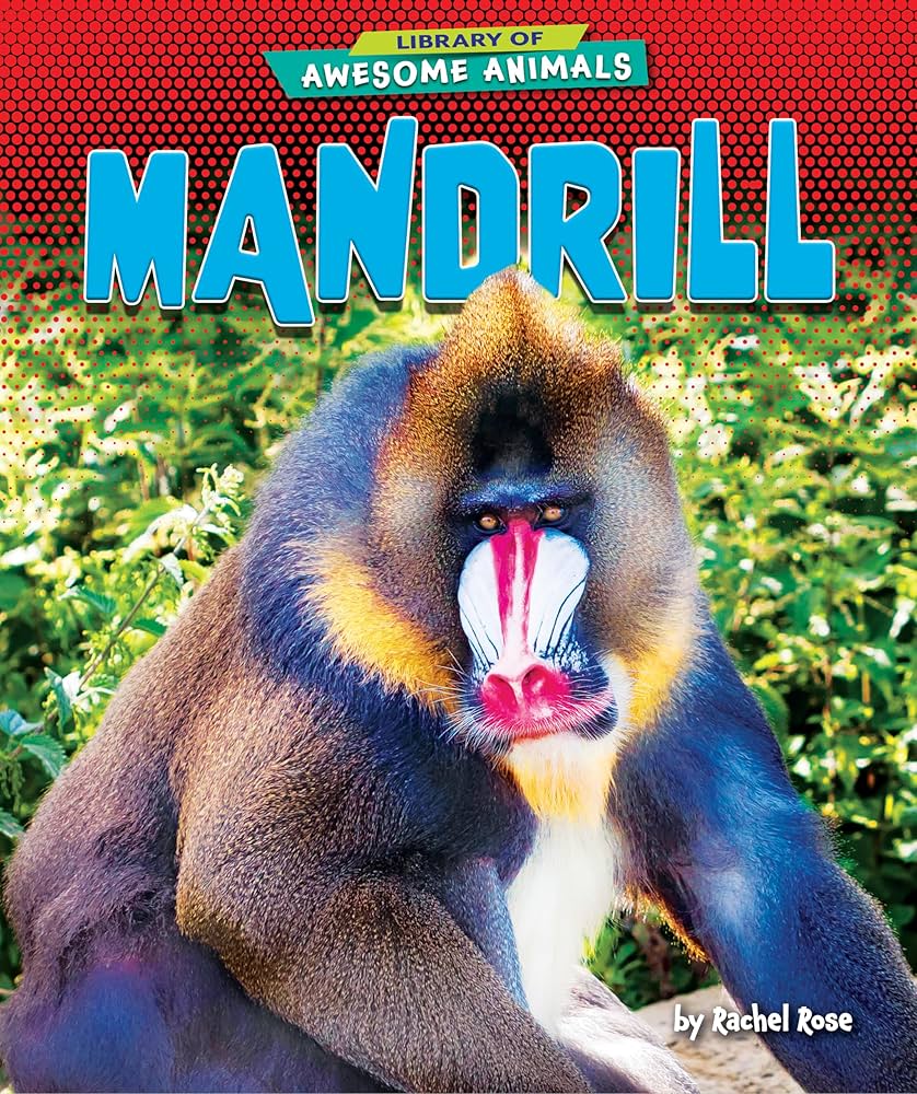 Mandrill Energize マンドリル Mandrill – Energize – Vinyl (LP, Album), 1982 [r1685249