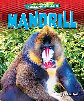 Mandrill Energize マンドリル Mandrill – Energize – Vinyl (LP, Album), 1982 [r1685249